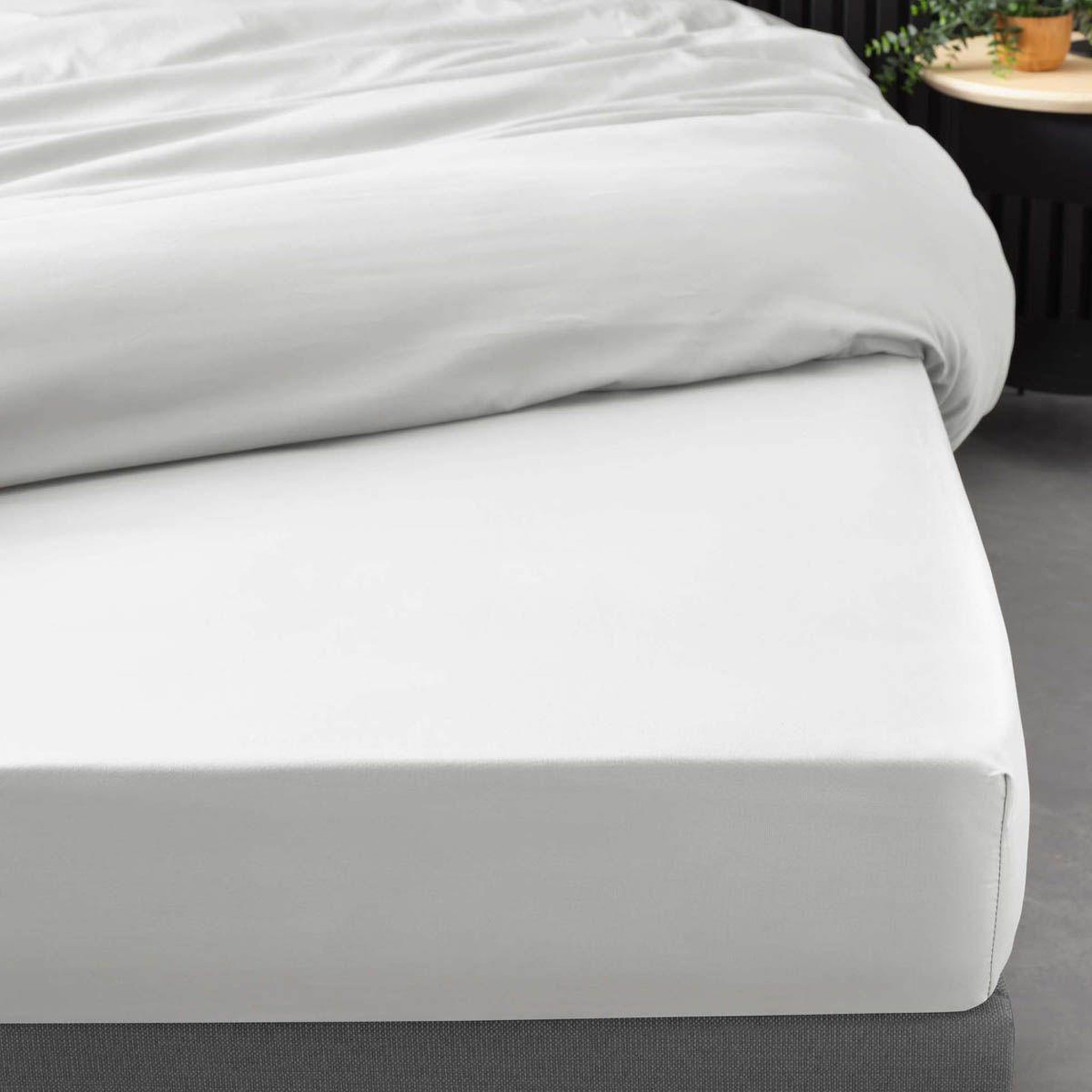 Voir la diapositive 3 : Douceur d'Intérieur Drap Housse  Percaline  140x190cm White