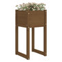 Voir la diapositive 3 : VIDAXL Jardinieres 2 pcs Marron miel 40x40x81 cm Bois massif de pin