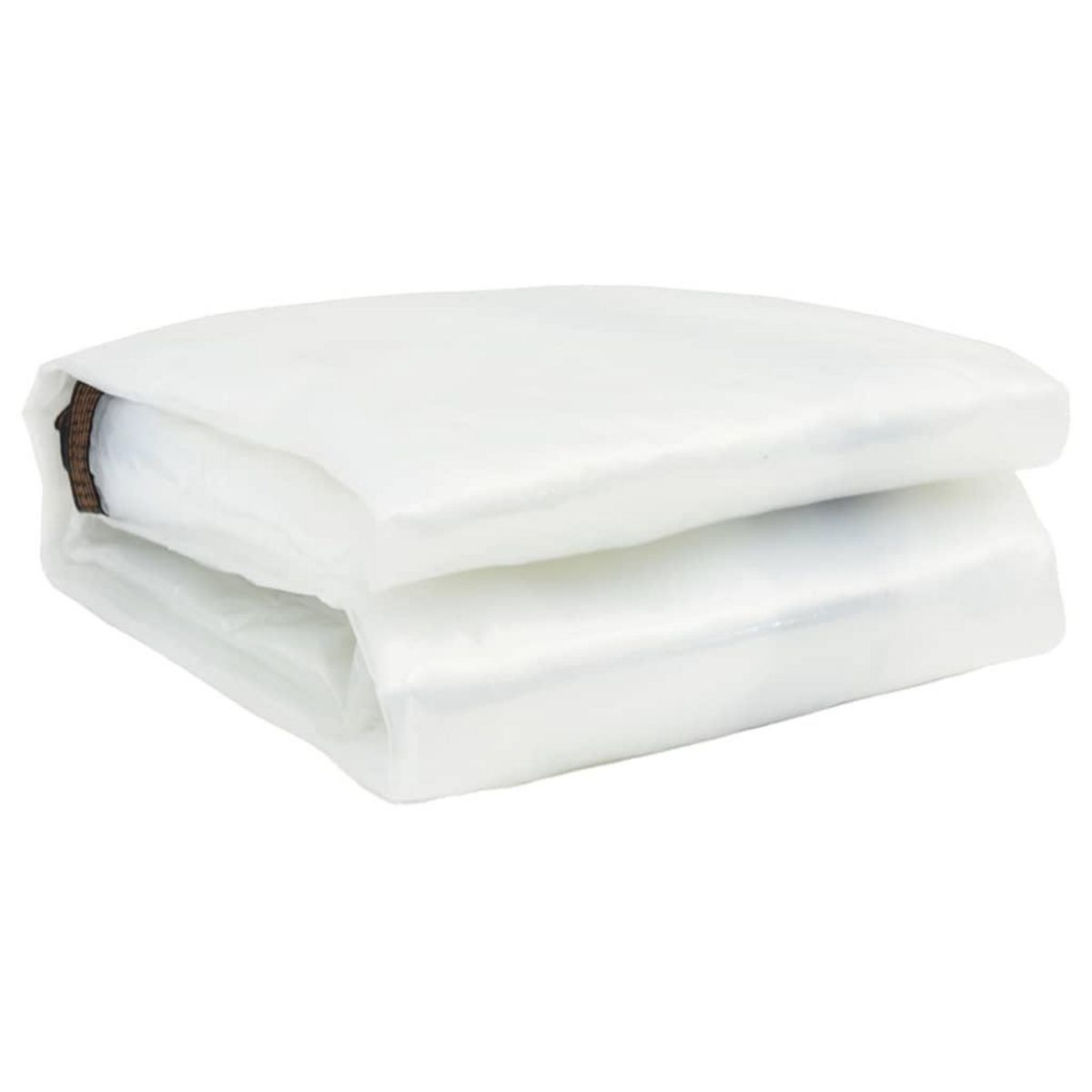 VIDAXL Bache transparente avec œillets 10x12 m polyethylene