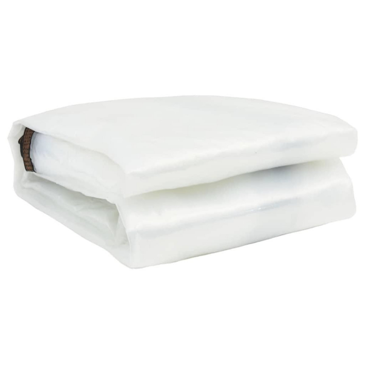 VIDAXL Bache transparente avec œillets 10x12 m polyethylene