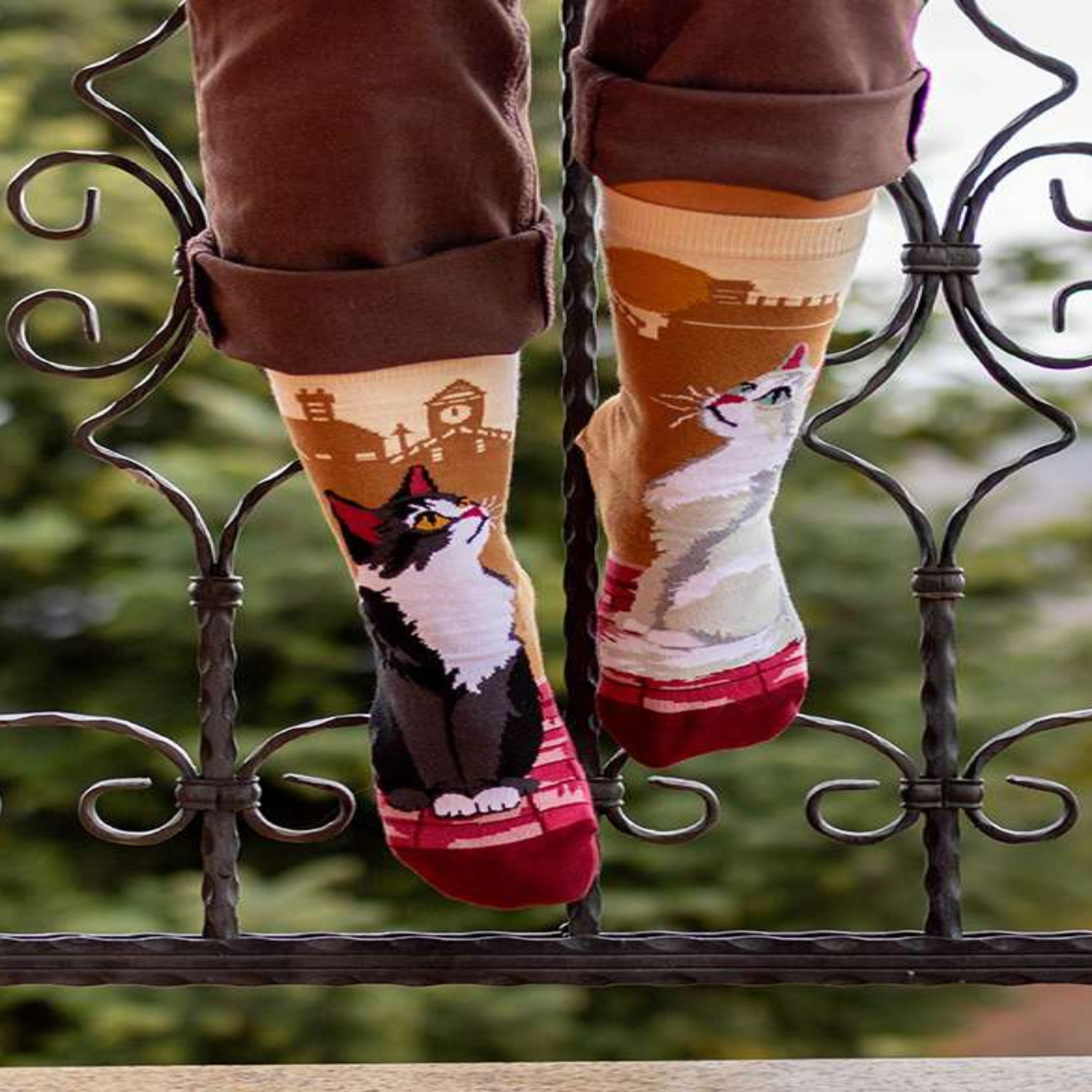 Voir la diapositive 3 : PIRIN HILL Chaussettes arty chats de ville
