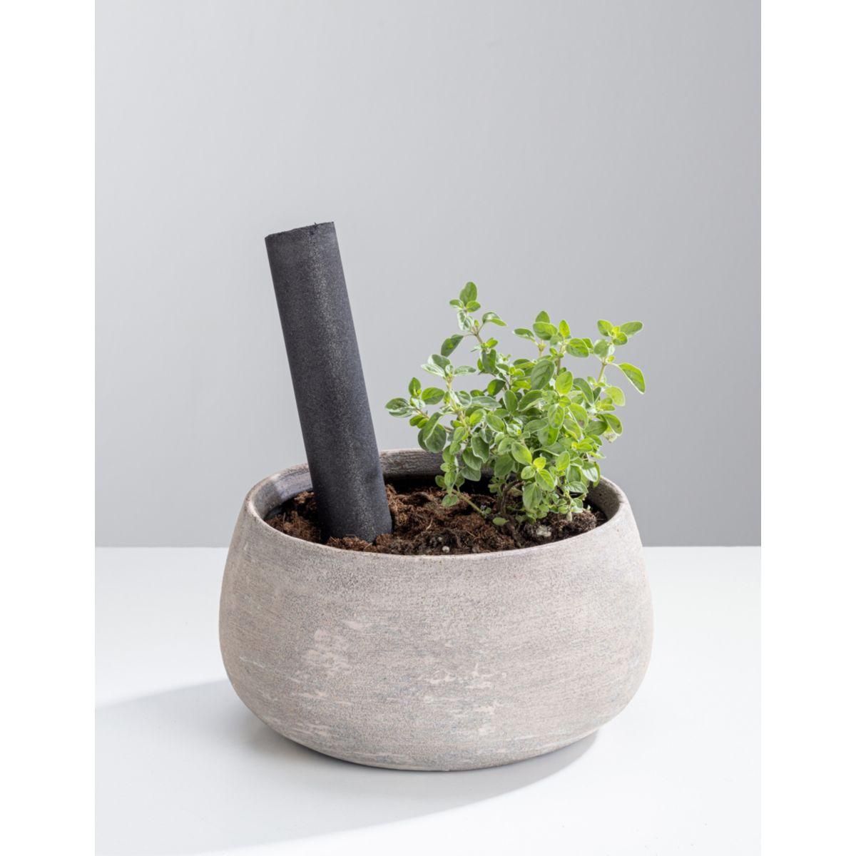 WPRO Filtre à eau pour filtre - EFC002