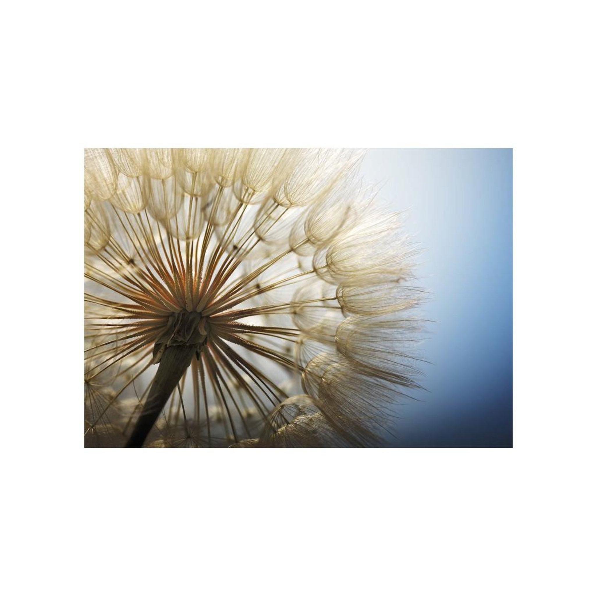Voir la diapositive 2 : Paris Prix Papier peint  summer delight