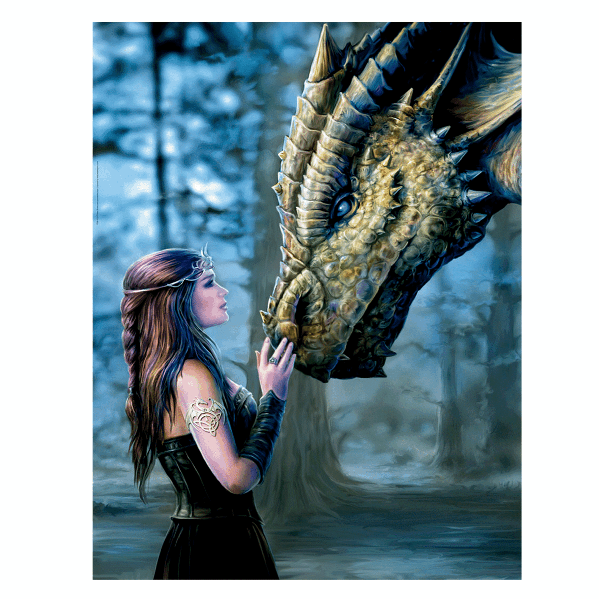 EDUCA Puzzle 1000 pièces : Il était une fois