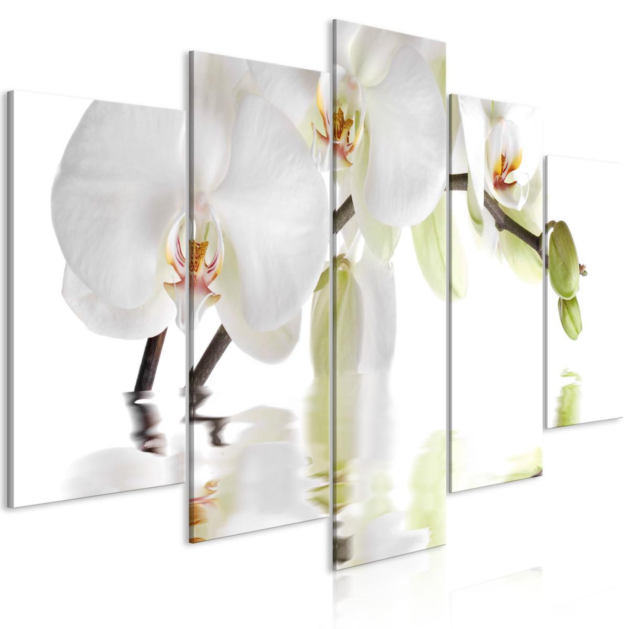Voir la diapositive 1 : Paris Prix Tableau imprimé 5 panneaux  wonderful orchid wide
