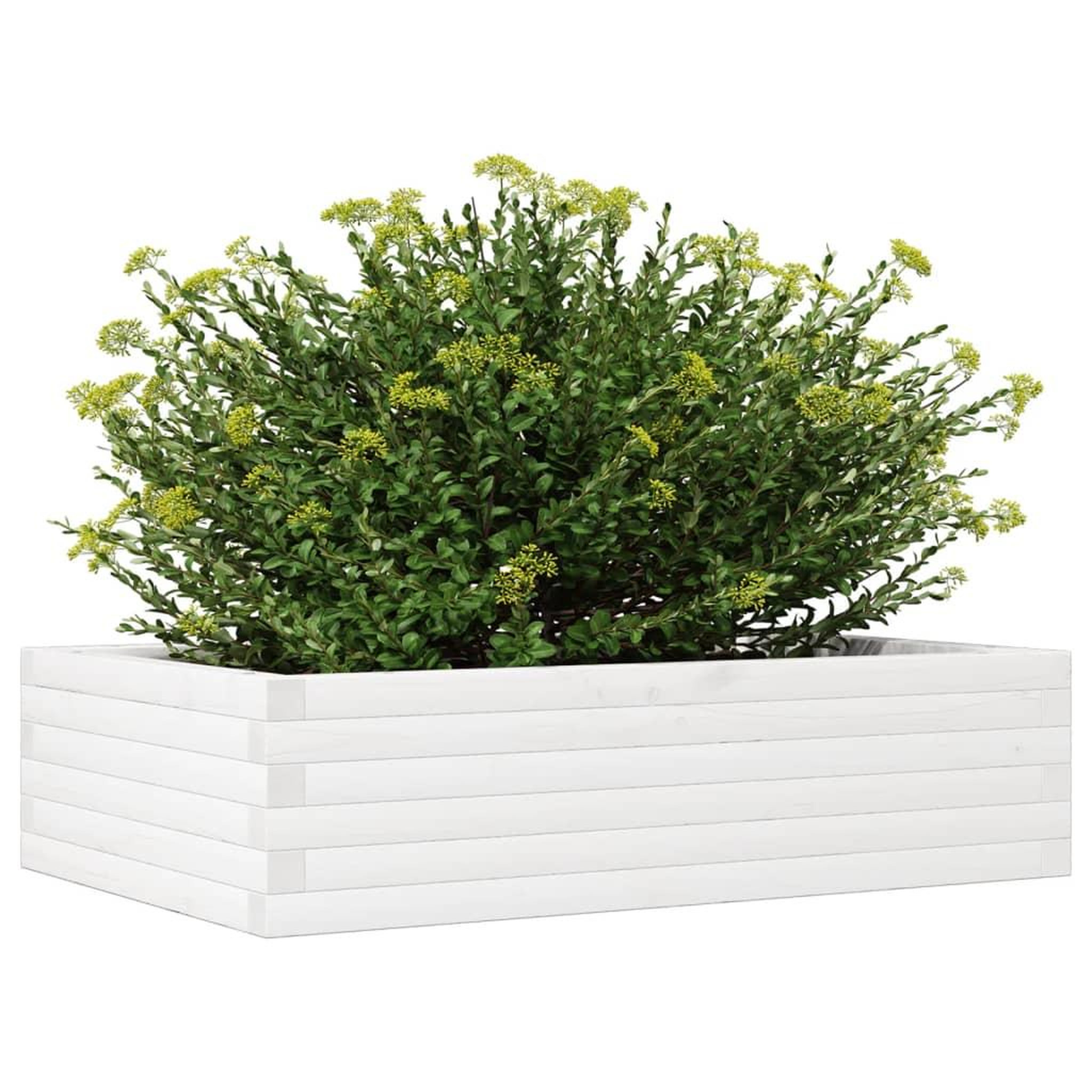 Voir la diapositive 4 : VIDAXL Jardiniere blanc 90x60x23 cm bois de pin massif