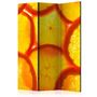Voir la diapositive 1 : Paris Prix Paravent 3 Volets  Orange Slices  135x172cm