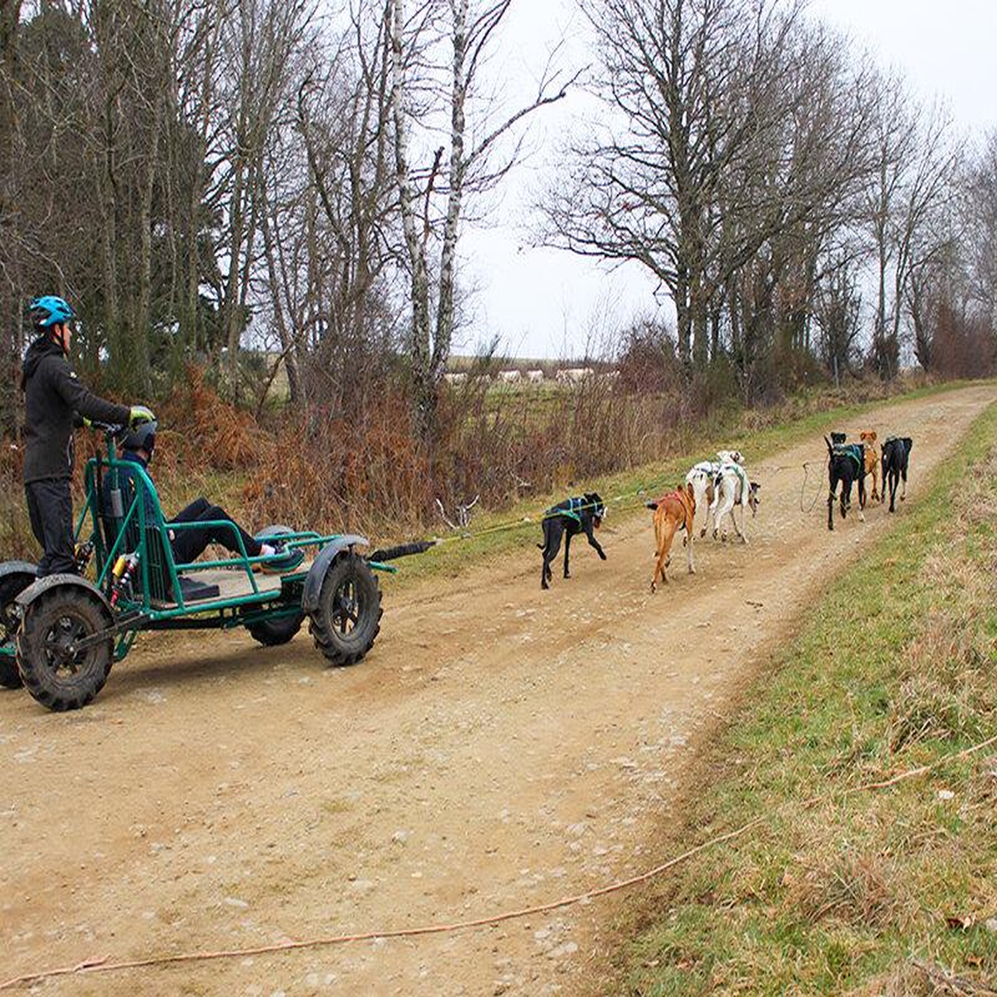 Voir la diapositive 3 : Smartbox Aventure insolite en famille : 1h30 de balade en cani-kart près de clermont-ferrand - coffret cadeau sport & aventure