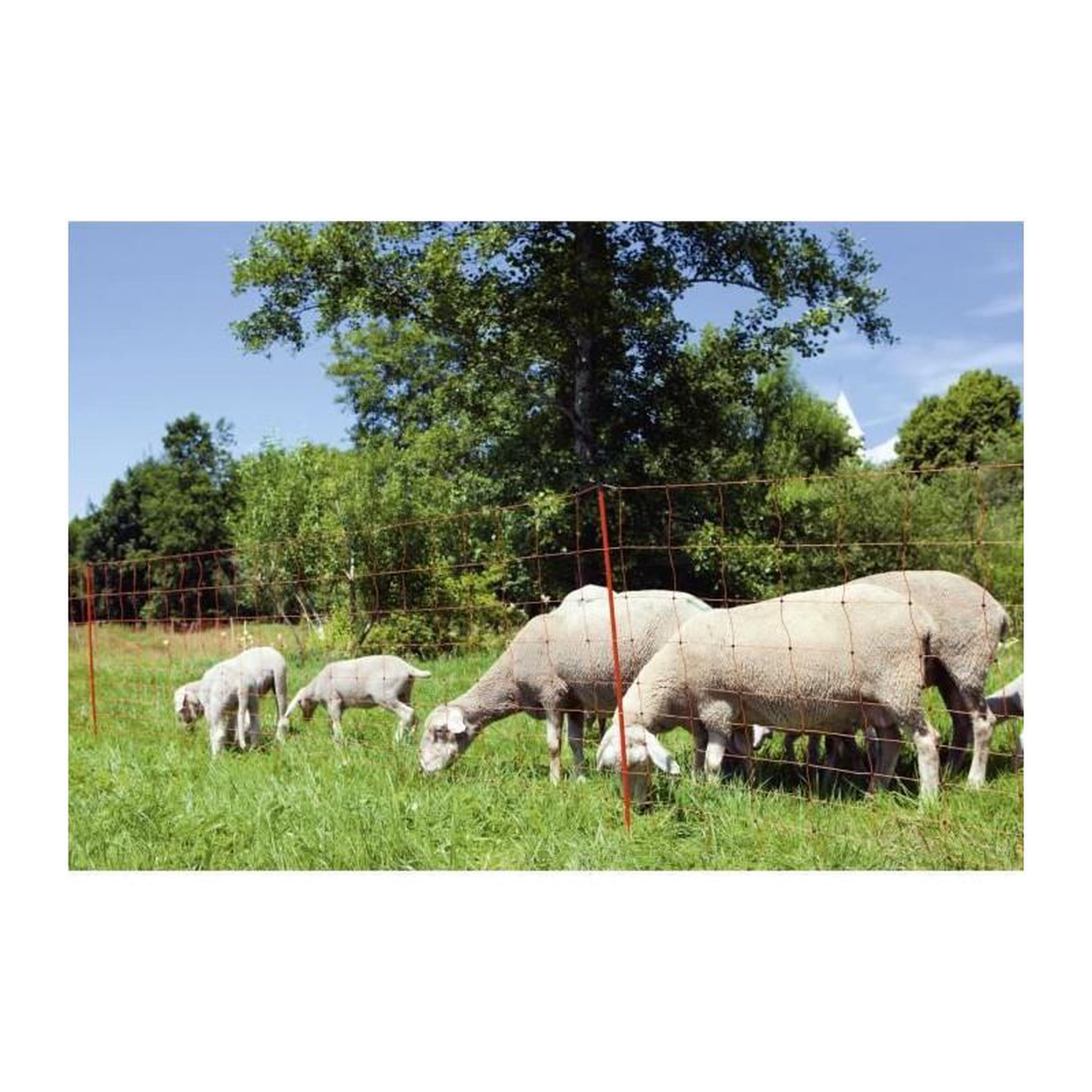 KERBL Kerbl Filet pour moutons OviNet 90 cm 27251