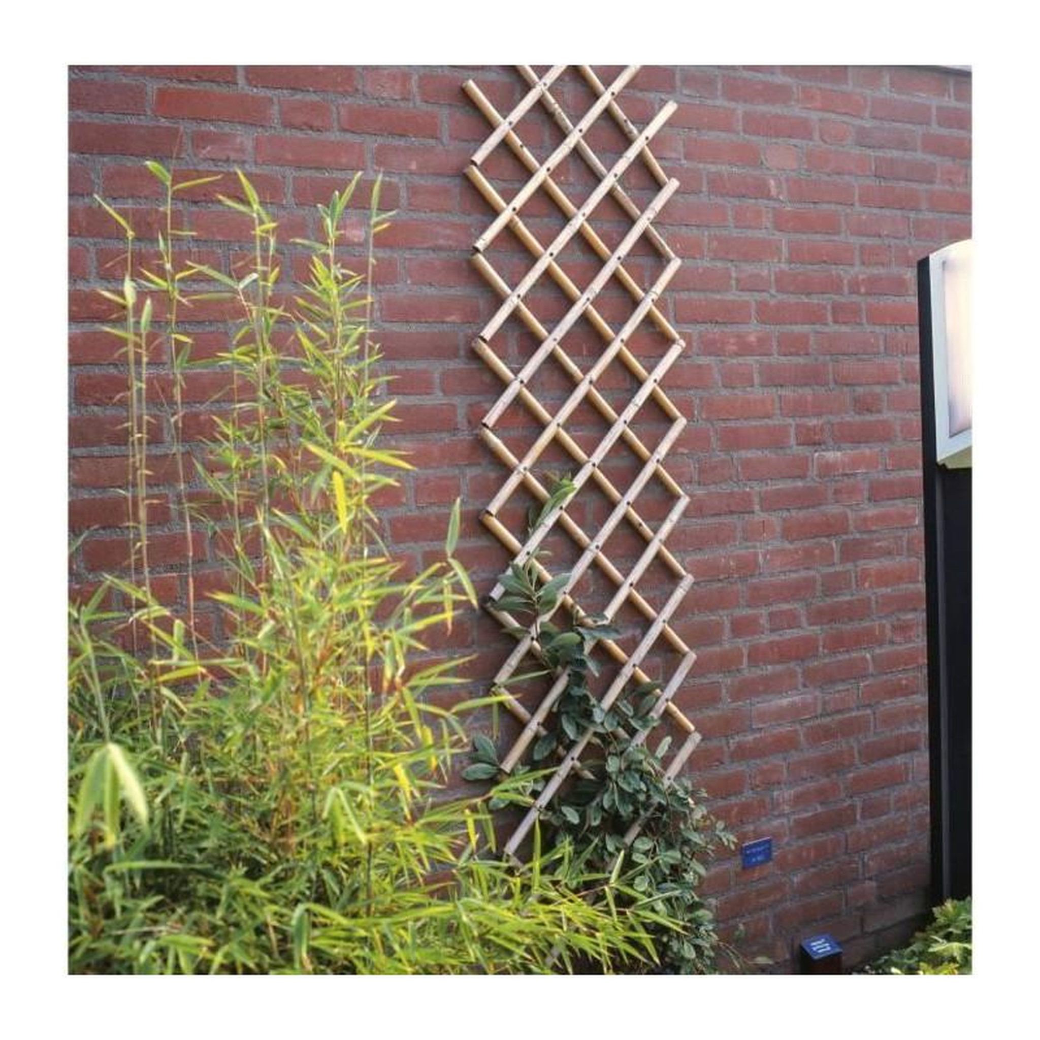 Voir la diapositive 4 : NATURE NATURE Treillis extensible en bambou 45x180cm - Marron