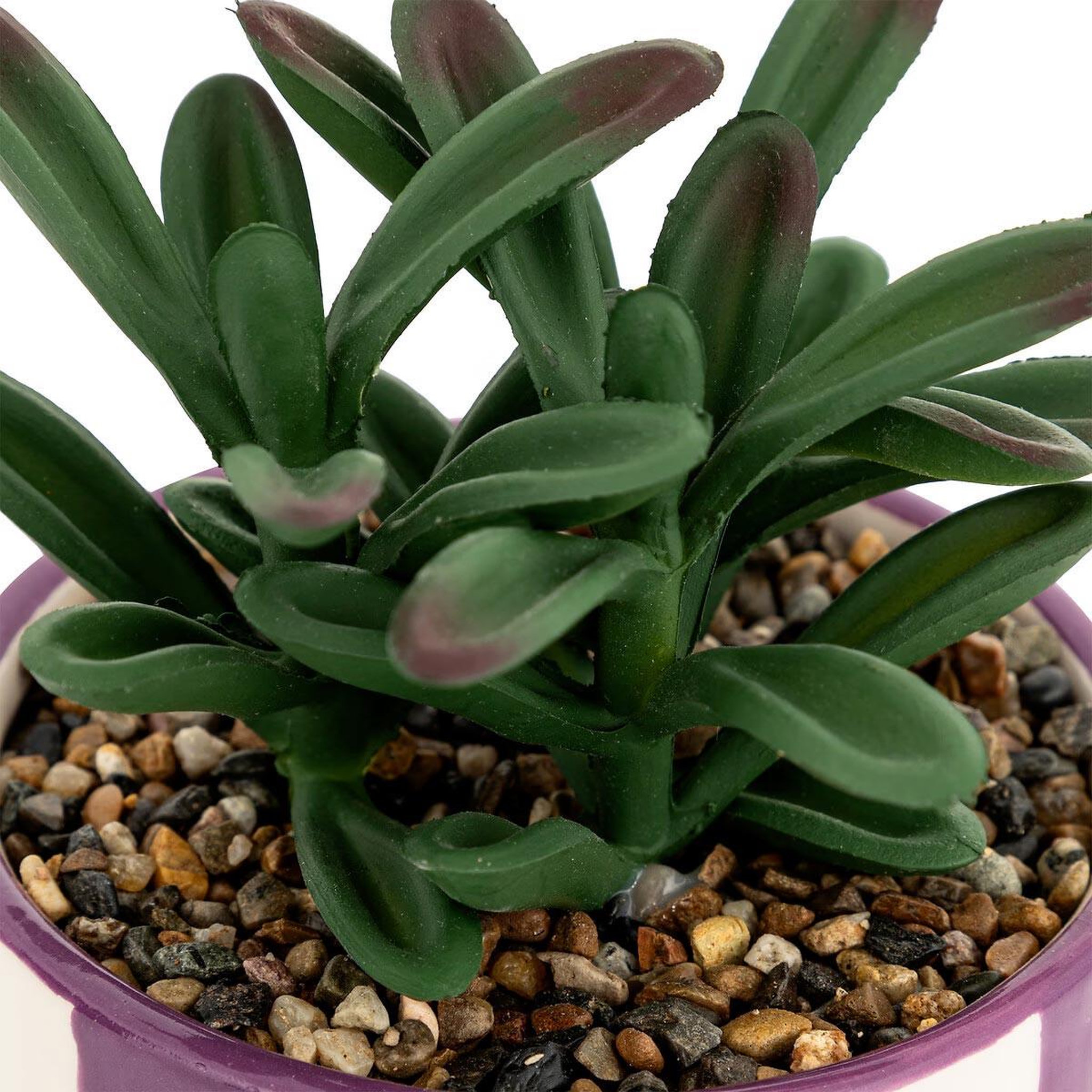 Voir la diapositive 2 : ATMOSPHERA Plante grasse artificielle  deep purple  16cm violet