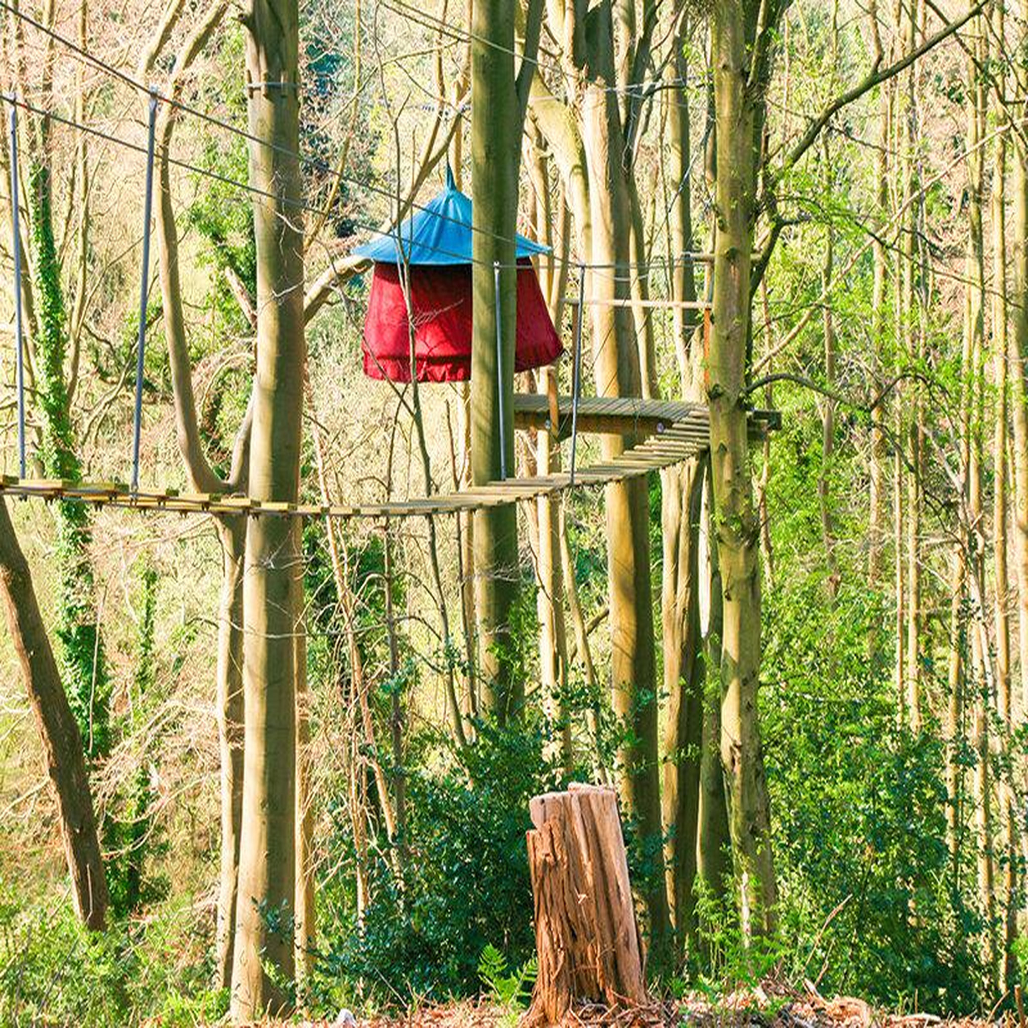 Voir la diapositive 4 : Smartbox 2 jours en tente suspendue dans les arbre en normandie - coffret cadeau séjour