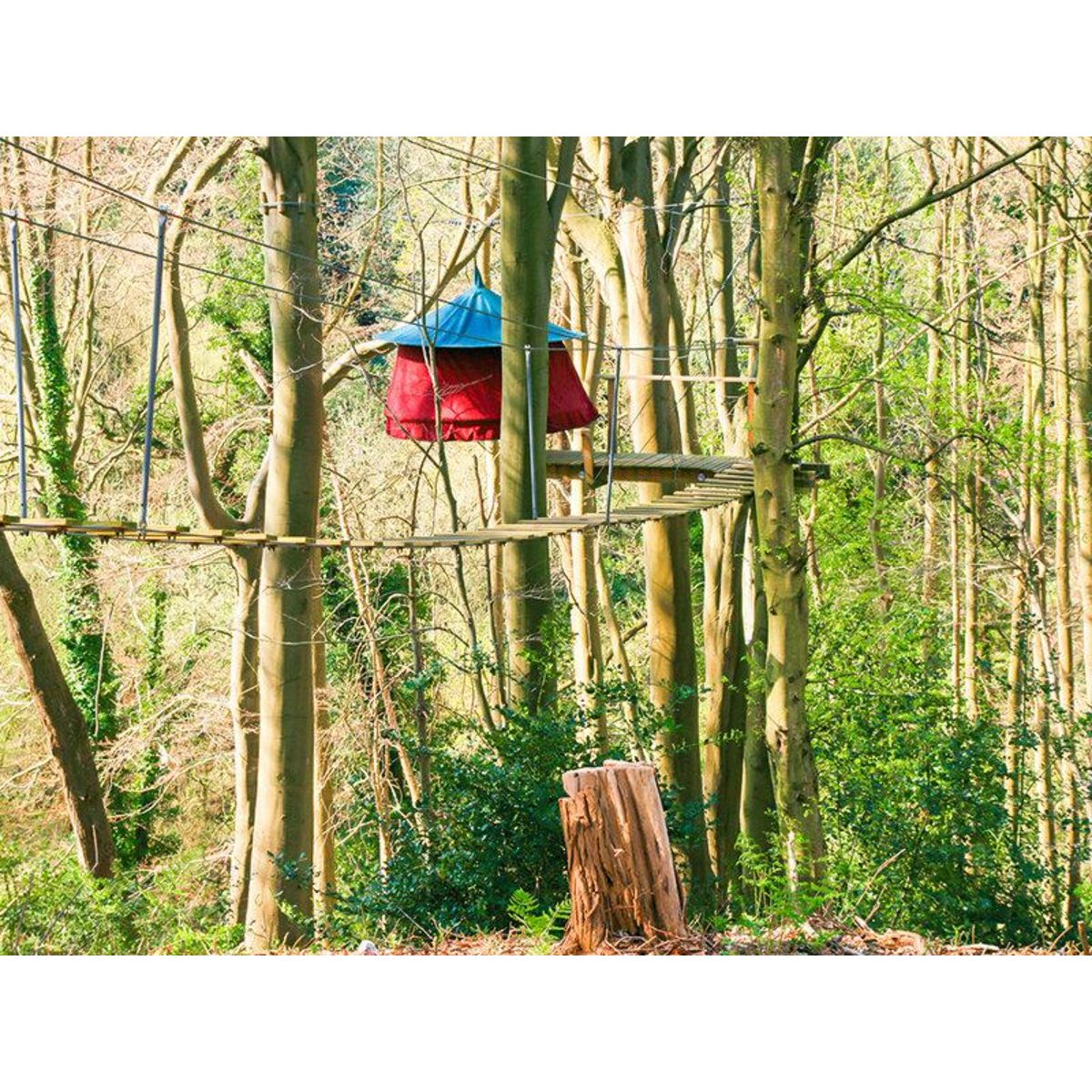 Smartbox 2 jours en tente suspendue dans les arbre en Normandie - Coffret Cadeau Séjour