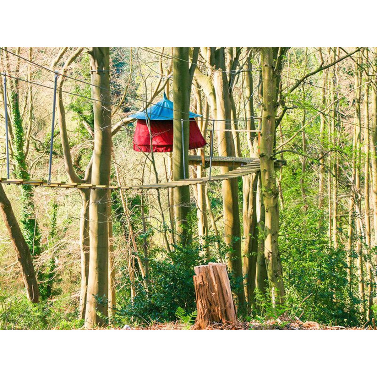 Smartbox 2 jours en tente suspendue dans les arbre en Normandie - Coffret Cadeau Séjour