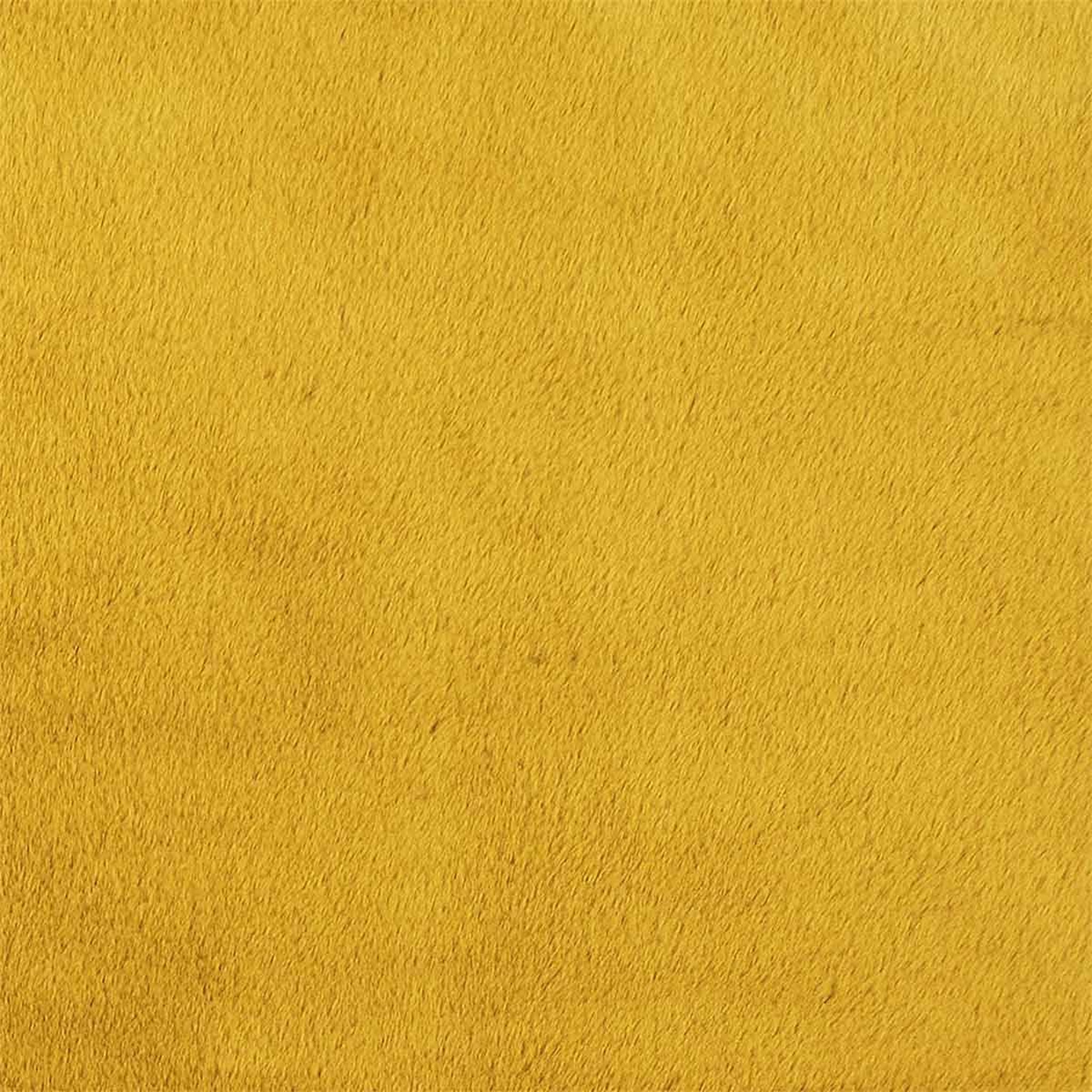 Voir la diapositive 3 : The Home Deco Factory Tapis imitation fourrure  fin  120x170cm moutarde