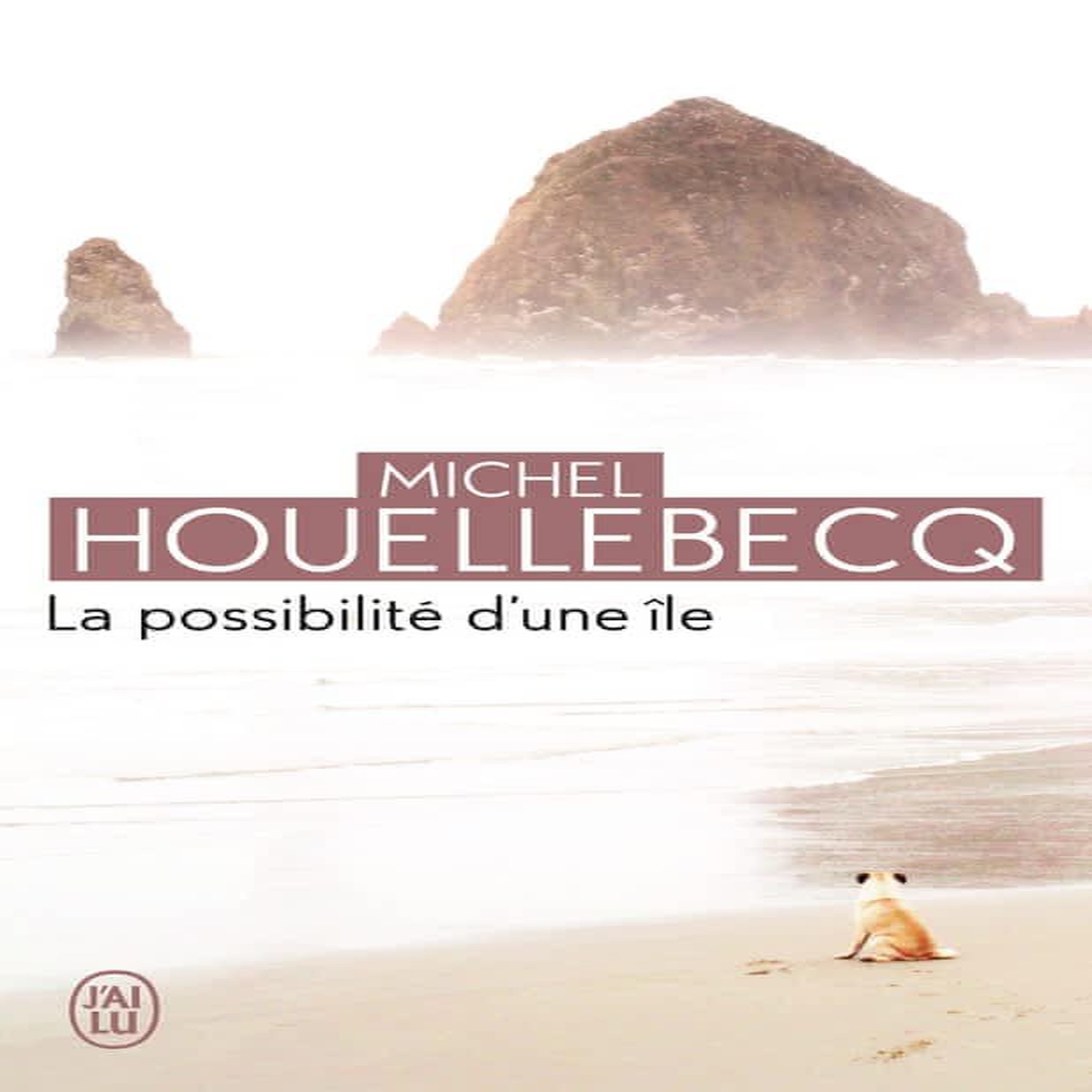 LA POSSIBILITE D'UNE ILE, Houellebecq Michel