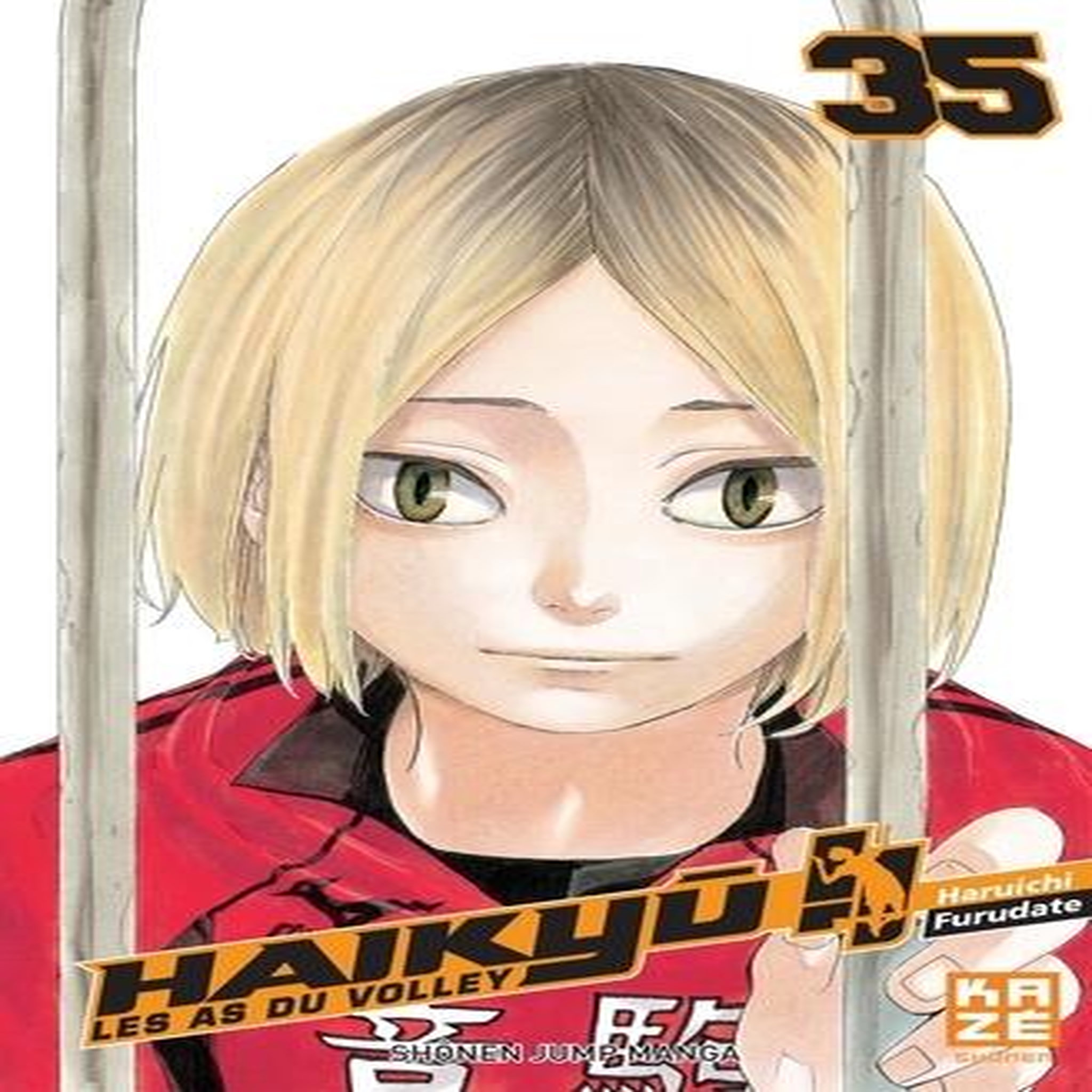 HAIKYU !! LES AS DU VOLLEY TOME 35 : EN CAGE, Furudate Haruichi