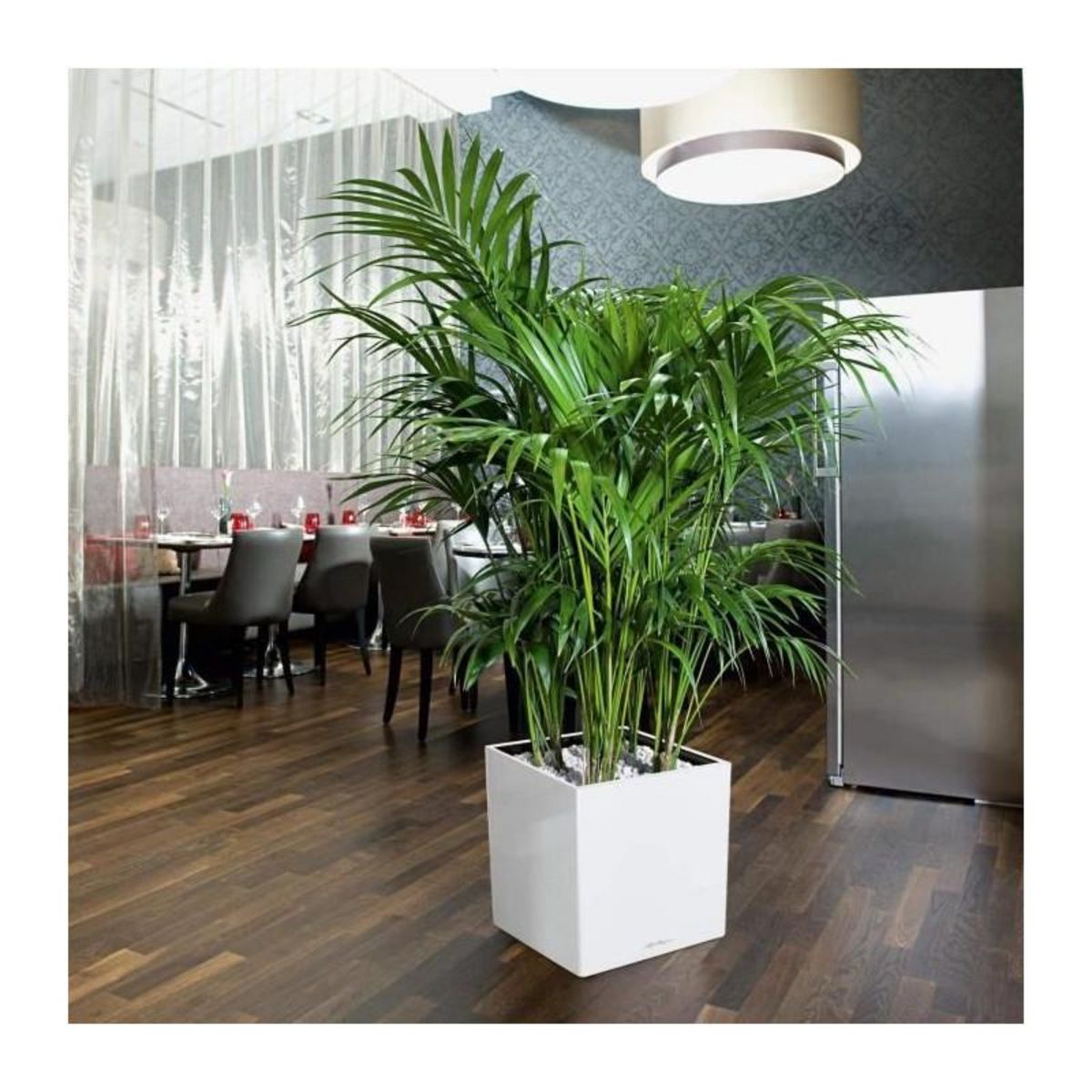 LECHUZA Cube Premium 40 - kit complet, noir brillant 40 cm