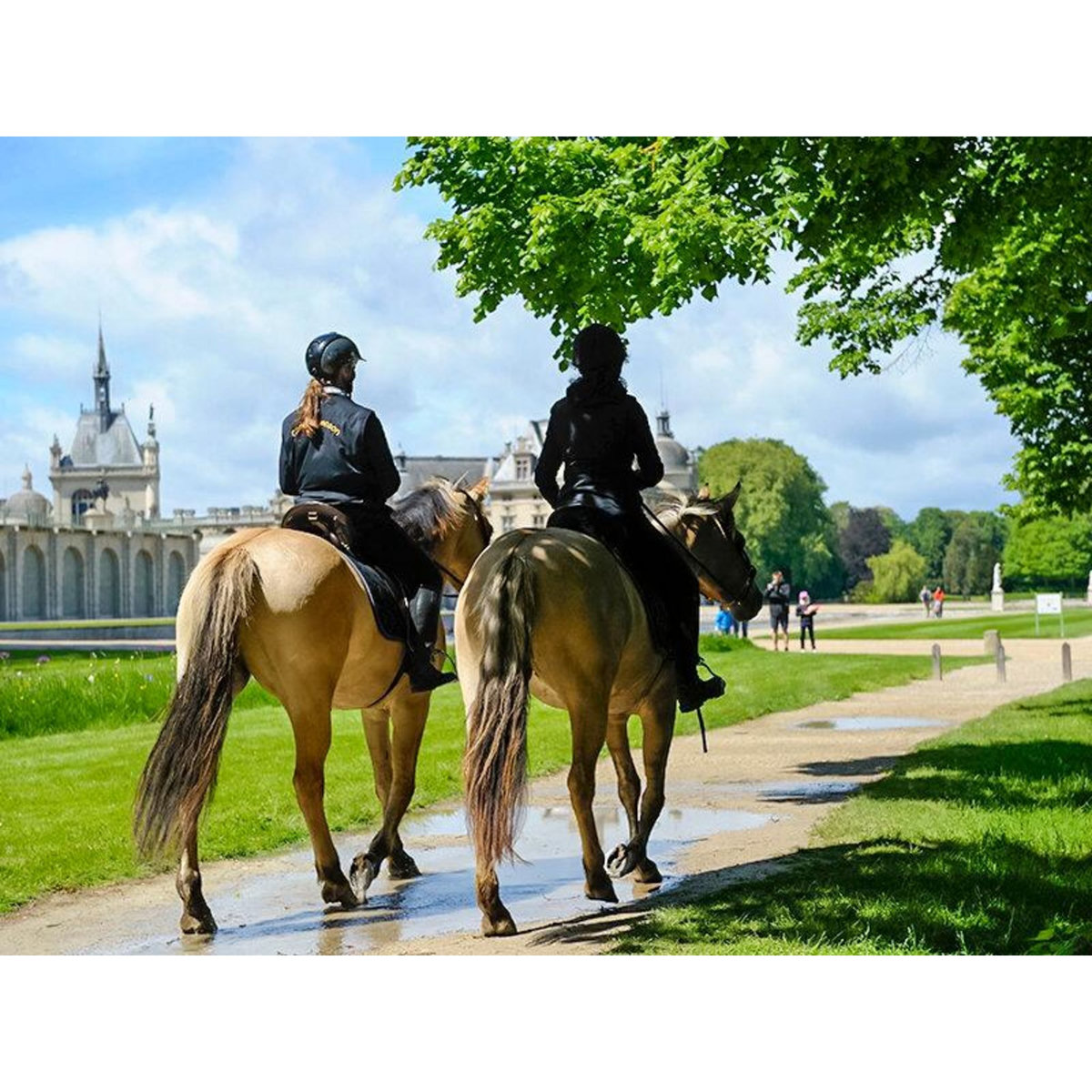 Smartbox 2 jours à l'hôtel Mercure 4* de Chantilly avec accès à l'espace détente et promenade équestre - Coffret Cadeau Séjour