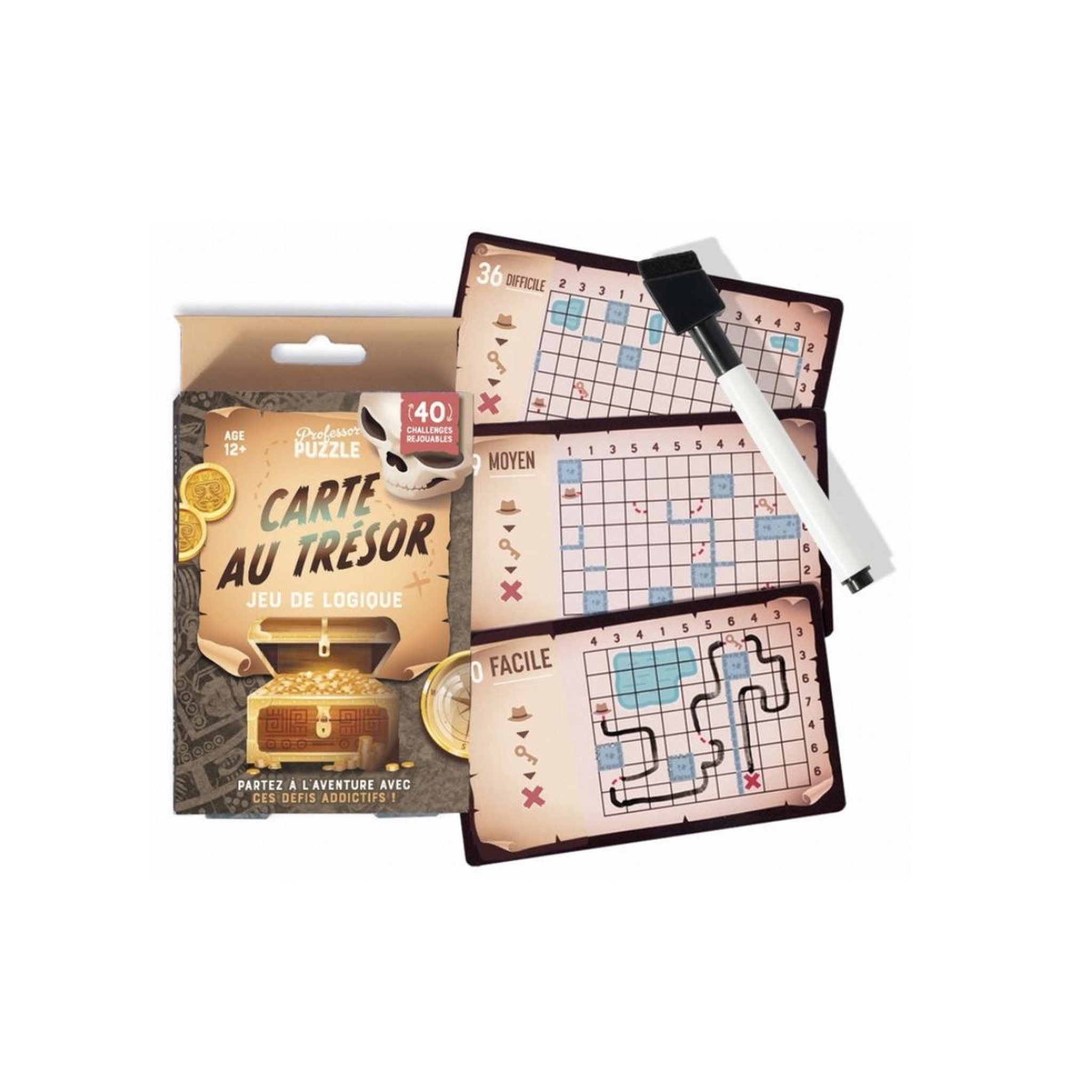 Professor Puzzle Carte au tresor - jeu de logique