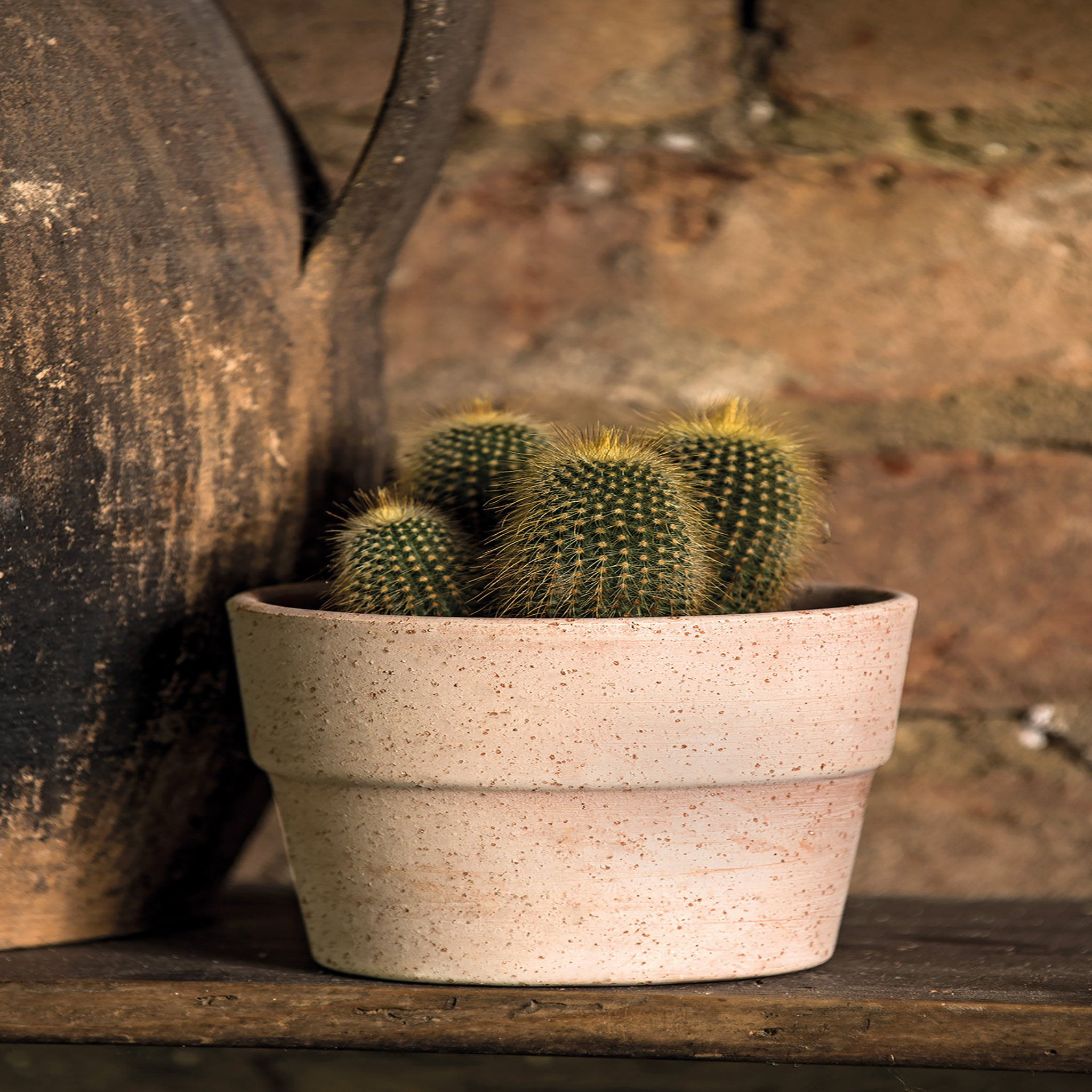Voir la diapositive 2 : Pot en terre cuite - Sienna Toscana - 11cm