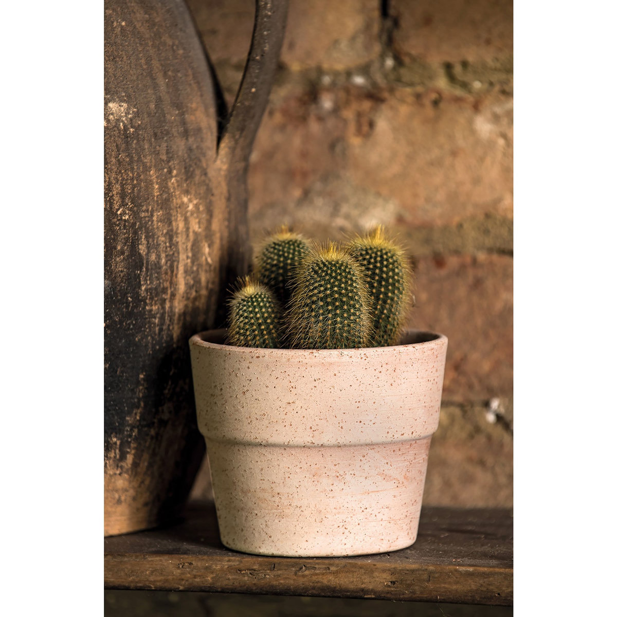 Pot en terre cuite - Sienna Toscana - 11cm