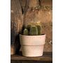Voir la diapositive 2 : Pot en terre cuite - Sienna Toscana - 11cm
