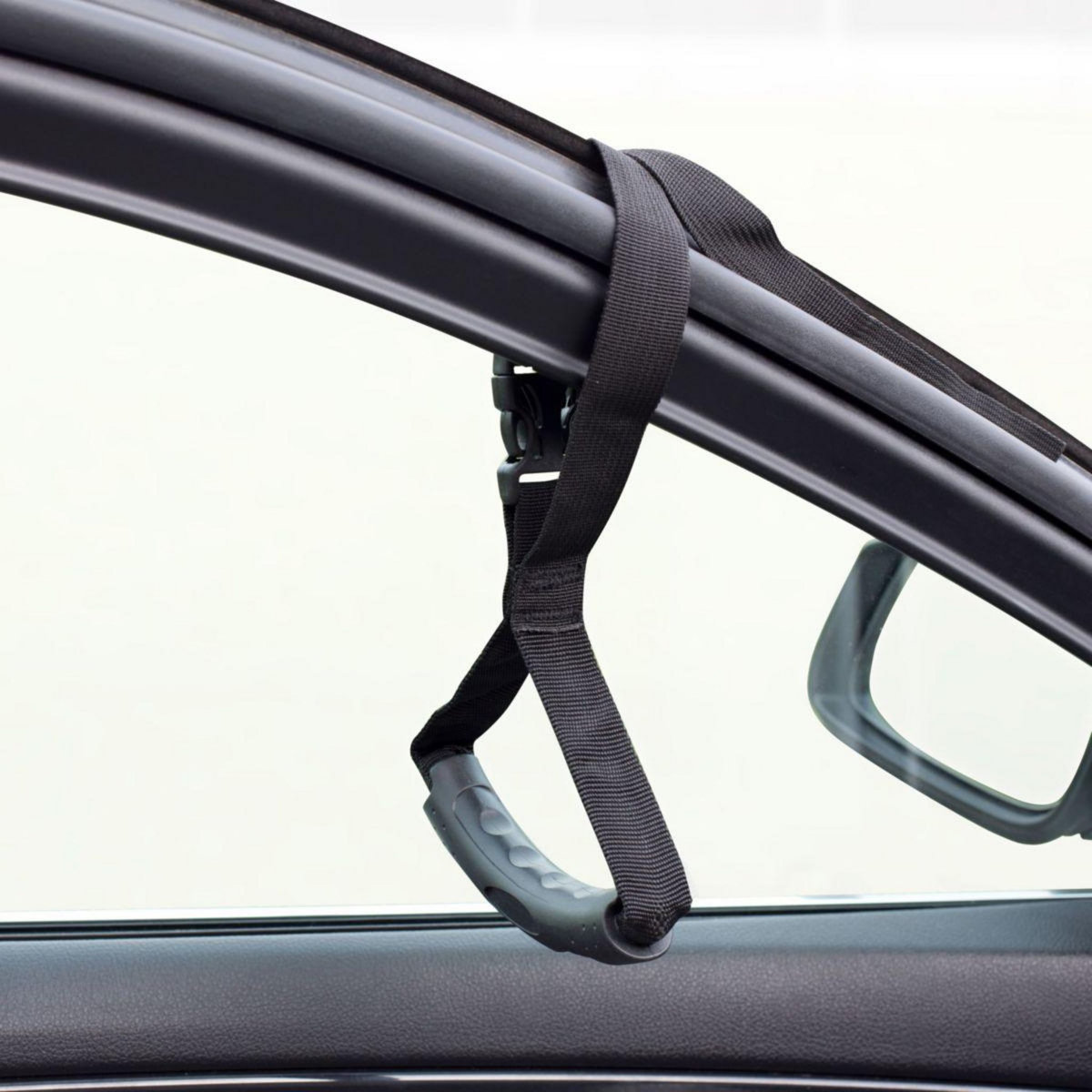 VITILITY Poignée de transfert pour véhicule