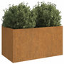 Voir la diapositive 3 : VIDAXL Jardiniere 62x30x29 cm acier corten