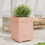 Voir la diapositive 1 : VIDAXL Jardiniere 50x50x72,5 cm bois massif de douglas
