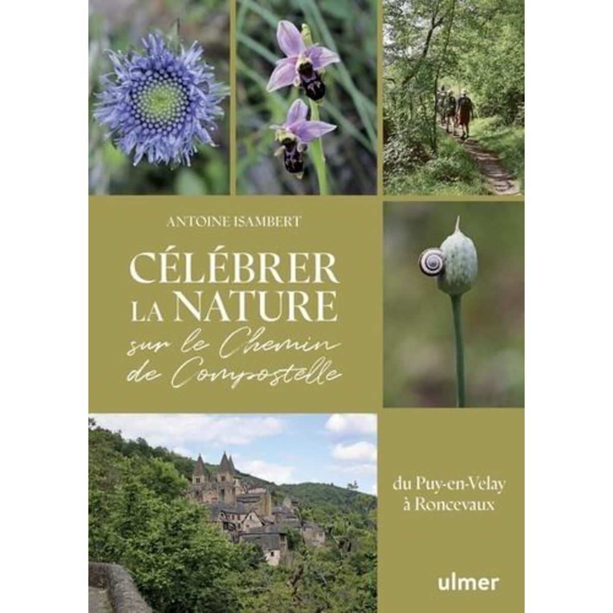 CELEBRER LA NATURE SUR LE CHEMIN DE COMPOSTELLE. DU PUY-EN-VELAY A RONCEVAUX, Isambert Antoine