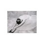 Voir la diapositive 2 : Paris Prix Papier Peint  Photographie : Ballerine