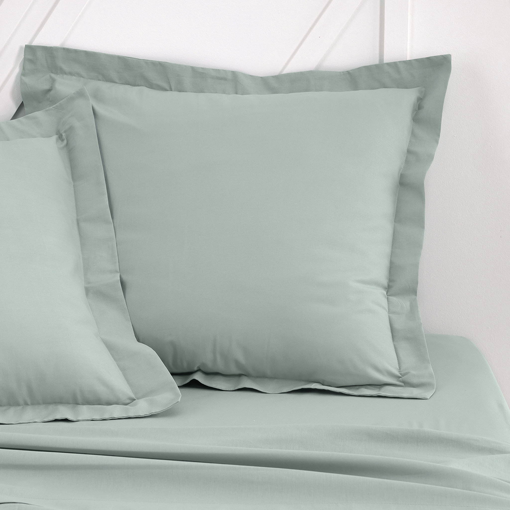 Voir la diapositive 1 : TODAY Taie d'oreiller unie en Coton 57 fils ORGANIC 