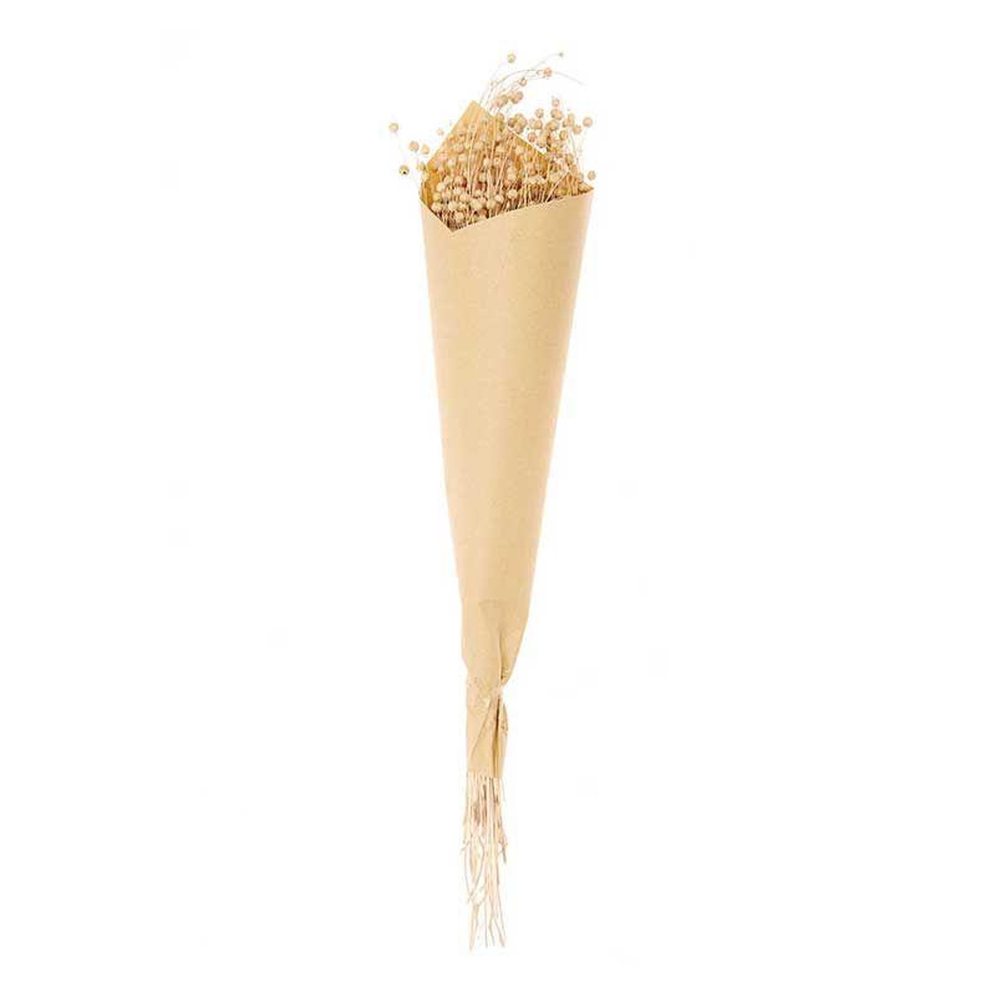 Voir la diapositive 2 : RICO DESIGN Lins séchés naturel - 70 cm