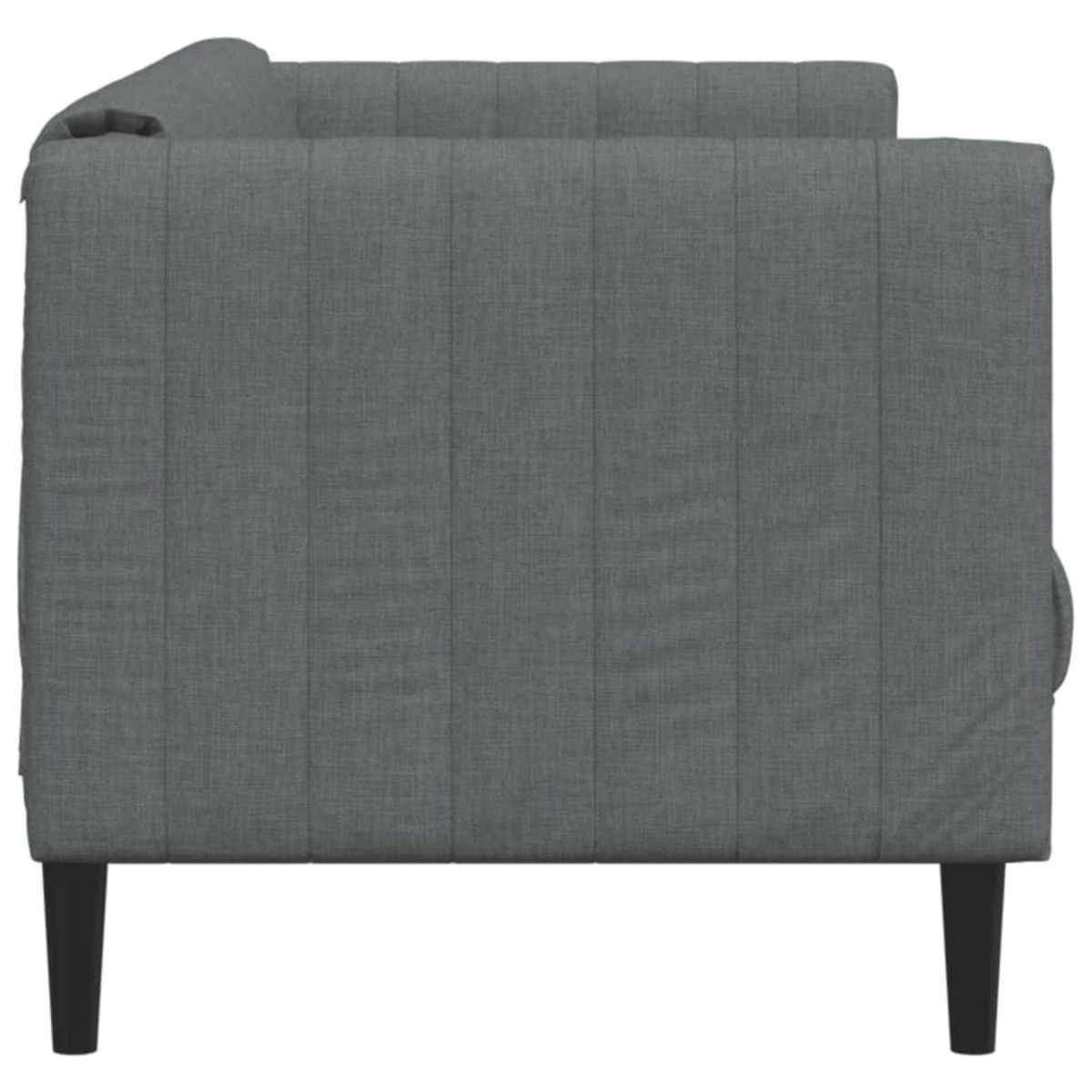 VIDAXL Canape a 2 places gris fonce tissu