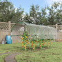 Voir la diapositive 2 : OUTSUNNY Serre de jardin serre à tomates dim. 4L x 1,23l x 1,71H m acier thermolaqué vert PVC haute densité transparent