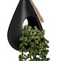 Voir la diapositive 2 : ATMOSPHERA Plante Artificielle Suspendue  Tropique  50cm Noir