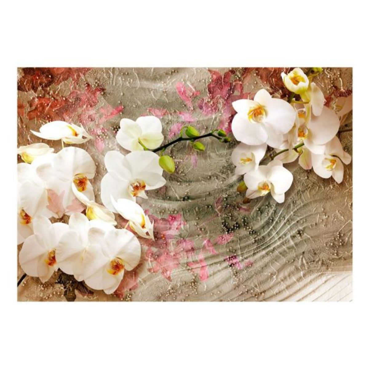 Paris Prix Papier Peint  Desert Orchid