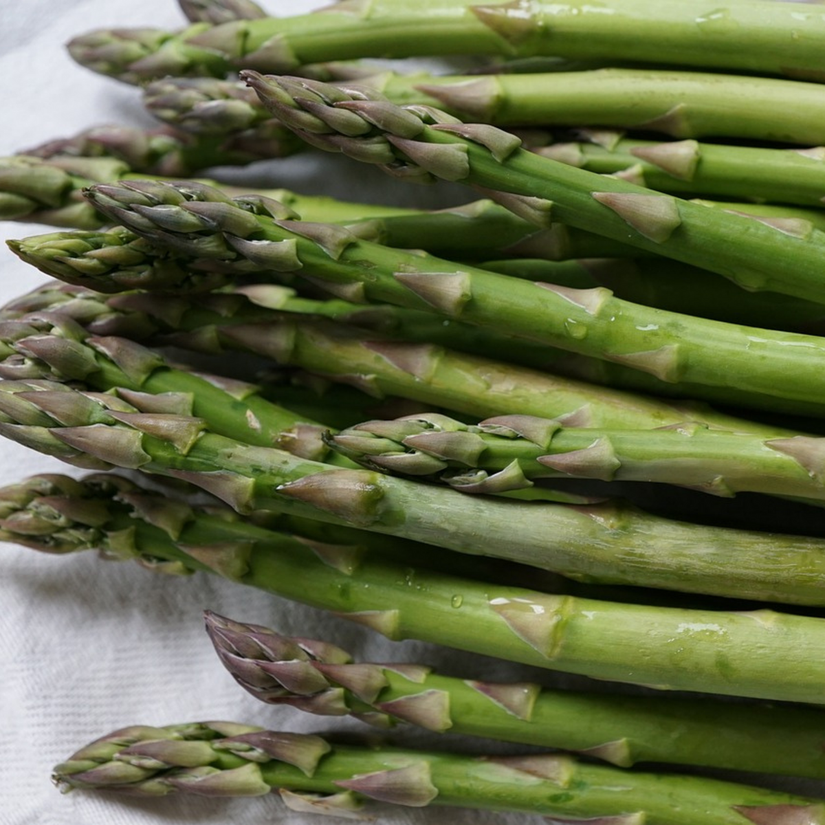 PLANT IN A BOX Asperge de jardin - Set de 3 - Asparagus 'Gijnlim'