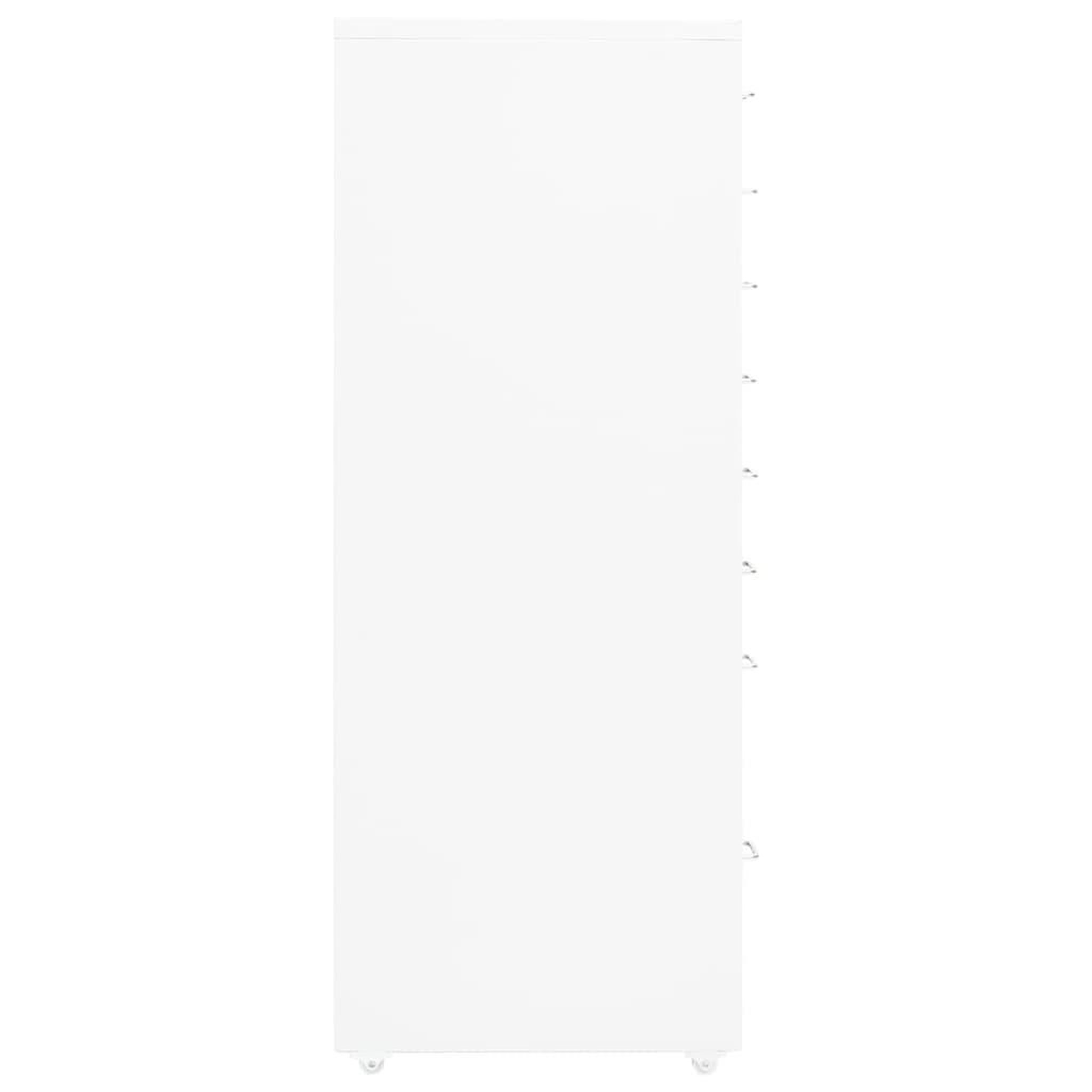 Voir la diapositive 3 : VIDAXL Classeur mobile Blanc 28x41x109 cm Metal