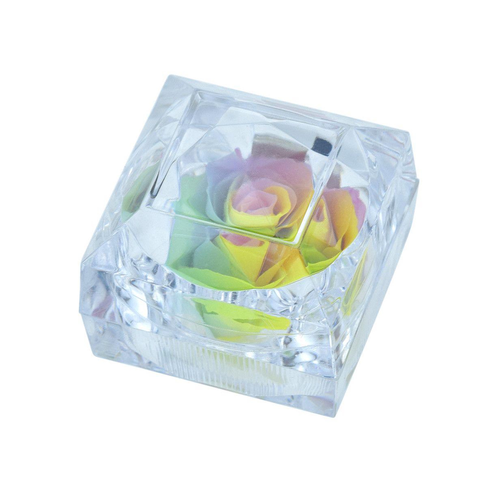 Voir la diapositive 2 : SC CRYSTAL Rose éternelle multicolore