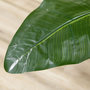 Voir la diapositive 6 : HOMCOM Plante artificielle Strelitzia H. 180 cm branches lichen feuilles fleurs grand réalisme pot inclus