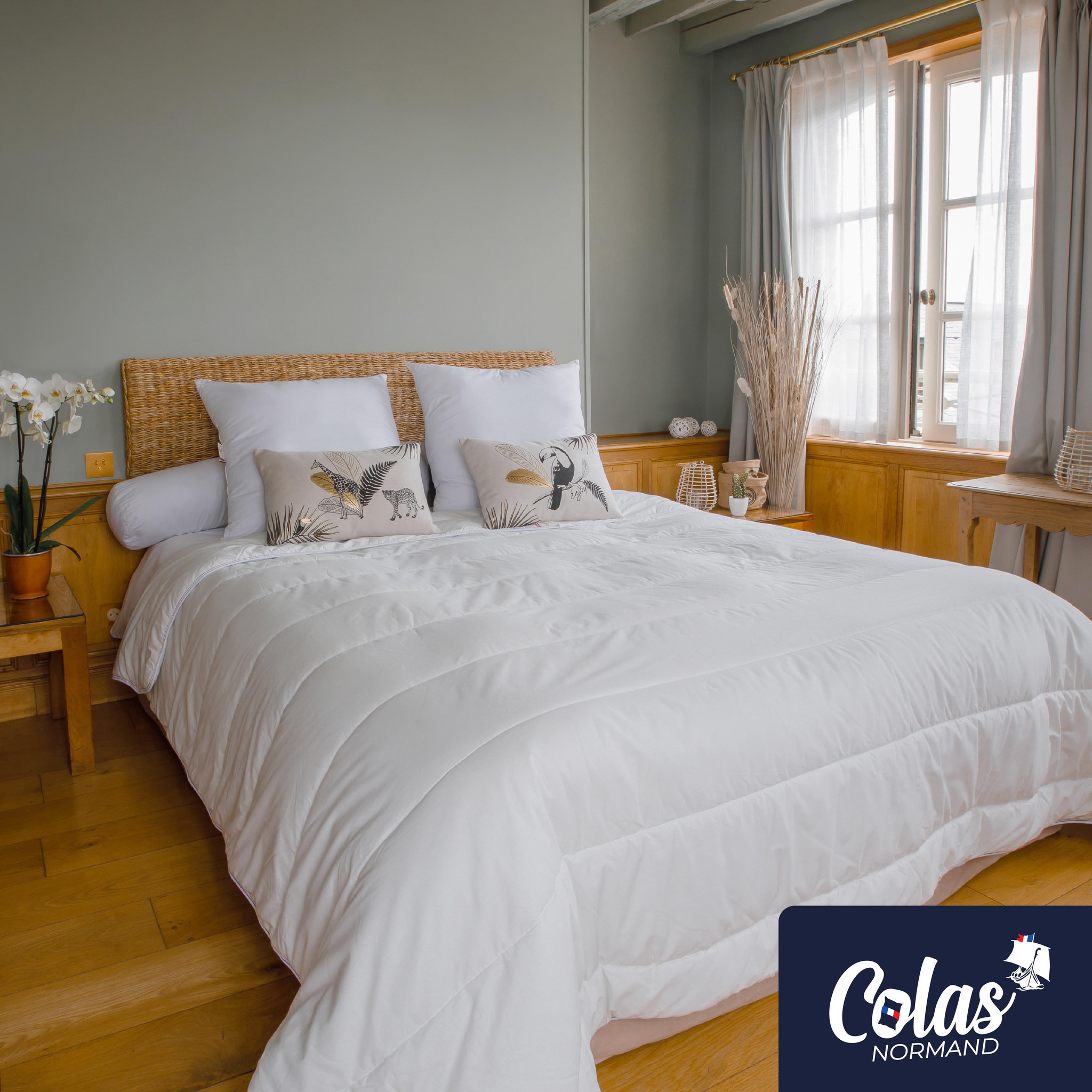 Voir la diapositive 2 : COLAS NORMAND Couette coton bio chaude