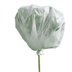 LINXOR Voile d'hivernage pour plantes 2m x 10m 30g/m² - Blanc