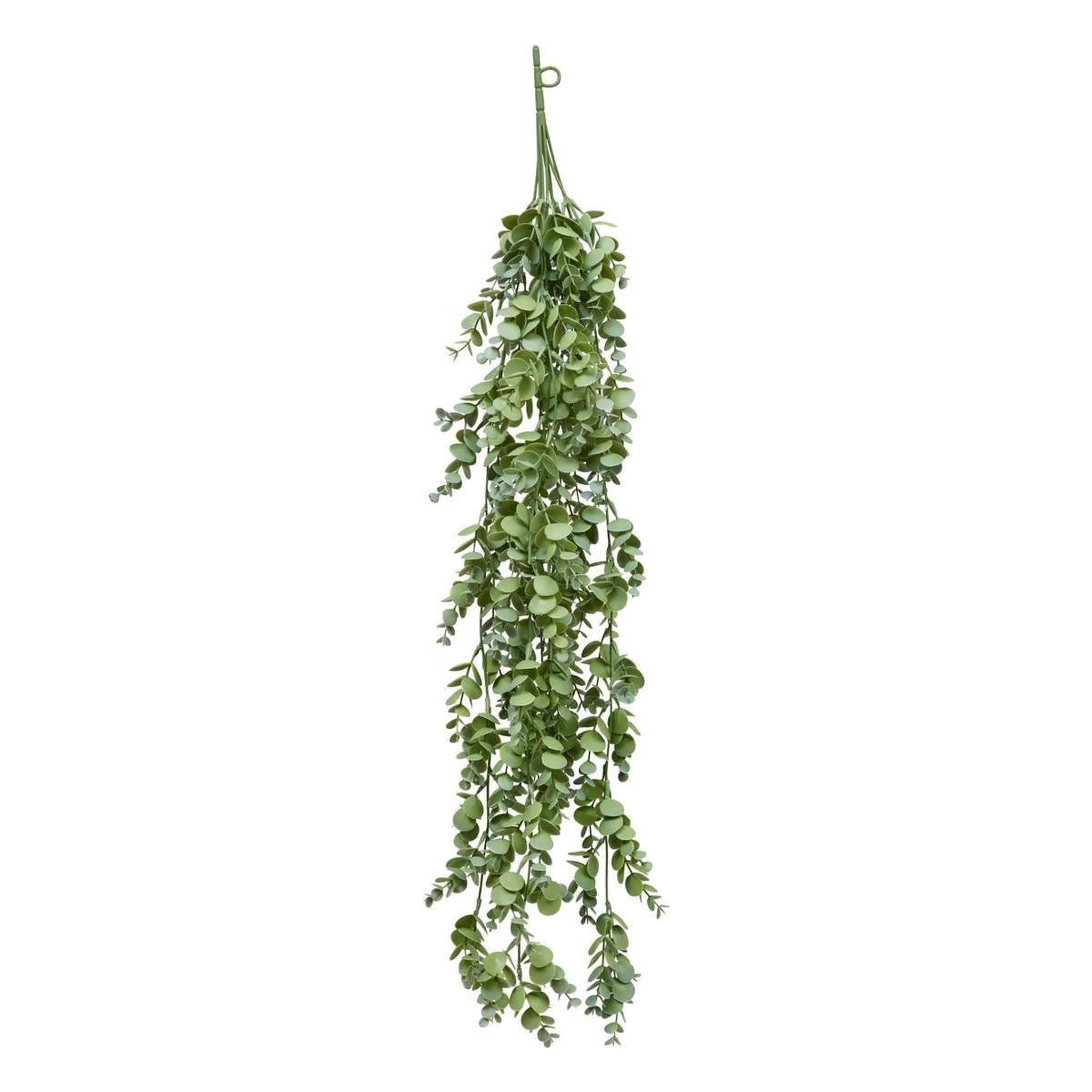 ATMOSPHERA Eucalyptus artificiel tombant  james  80cm vert