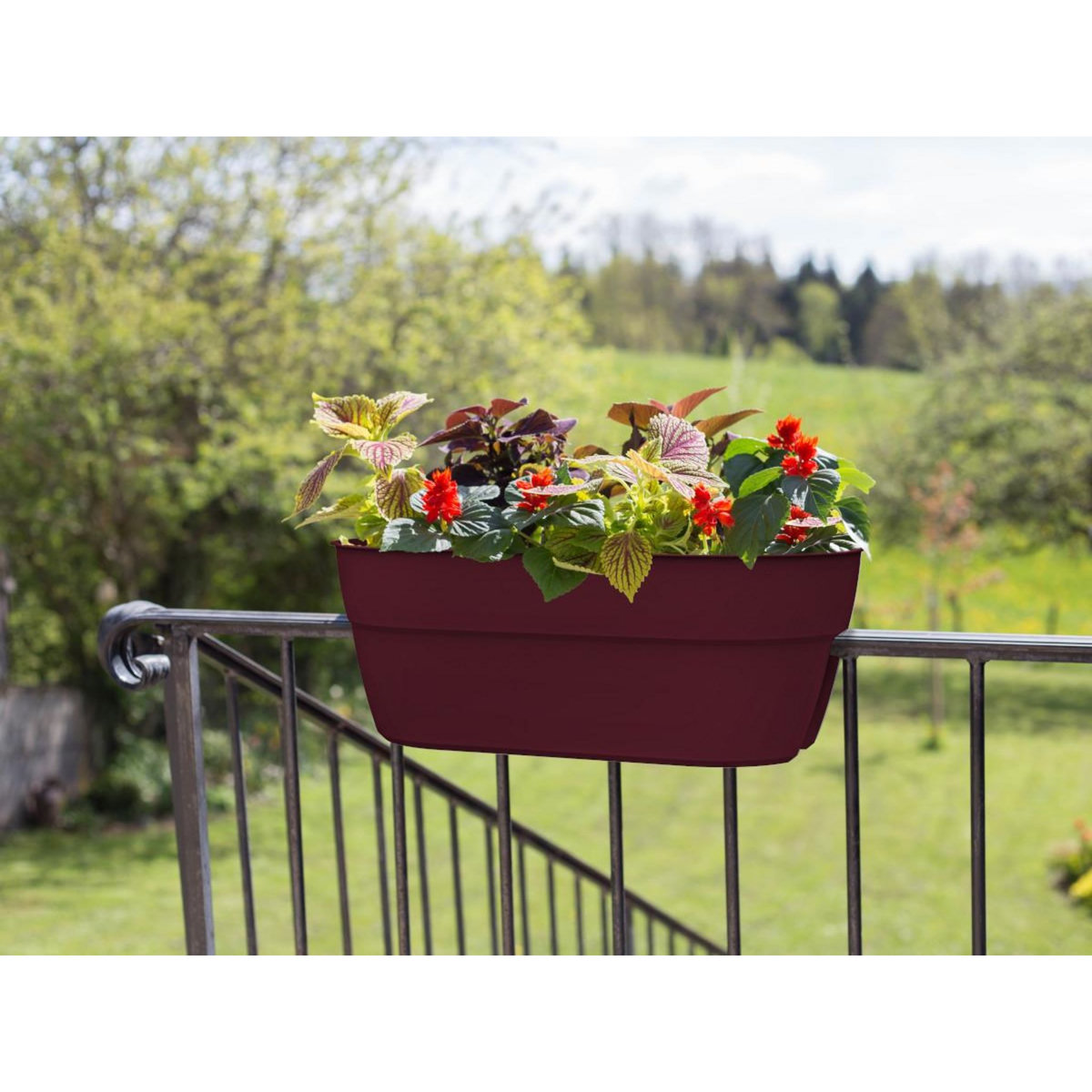 Eda Balconnière cavalière Osaka 56 x 30 cm Rouge bourgogne - Eda