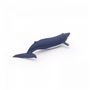Voir la diapositive 5 : Papo 56041 Figurine Bebe baleine bleue