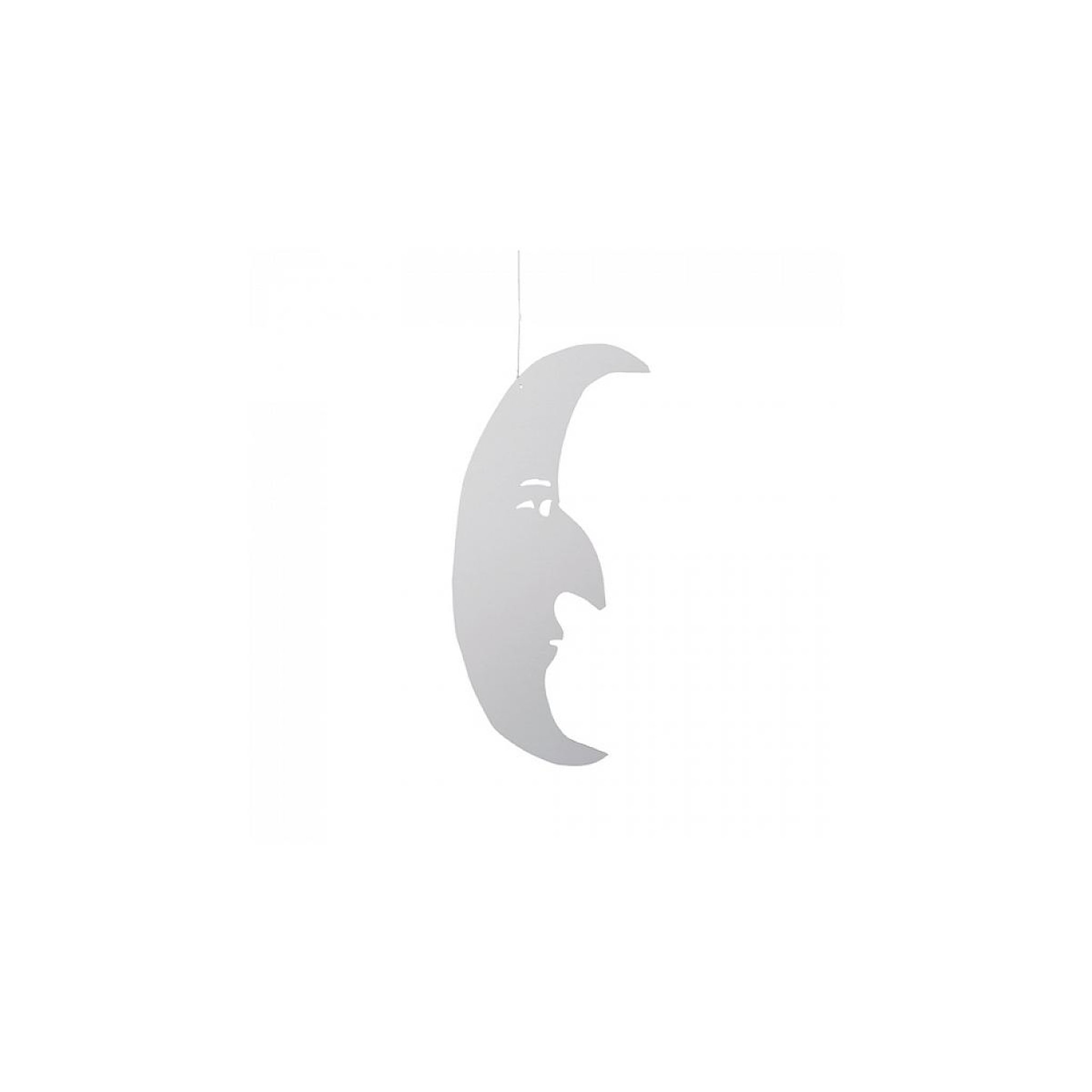 Flensted Man In The Moon