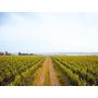 Voir la diapositive 4 : Smartbox Visite de vignoble en famille et dégustation près de Versailles - Coffret Cadeau Gastronomie