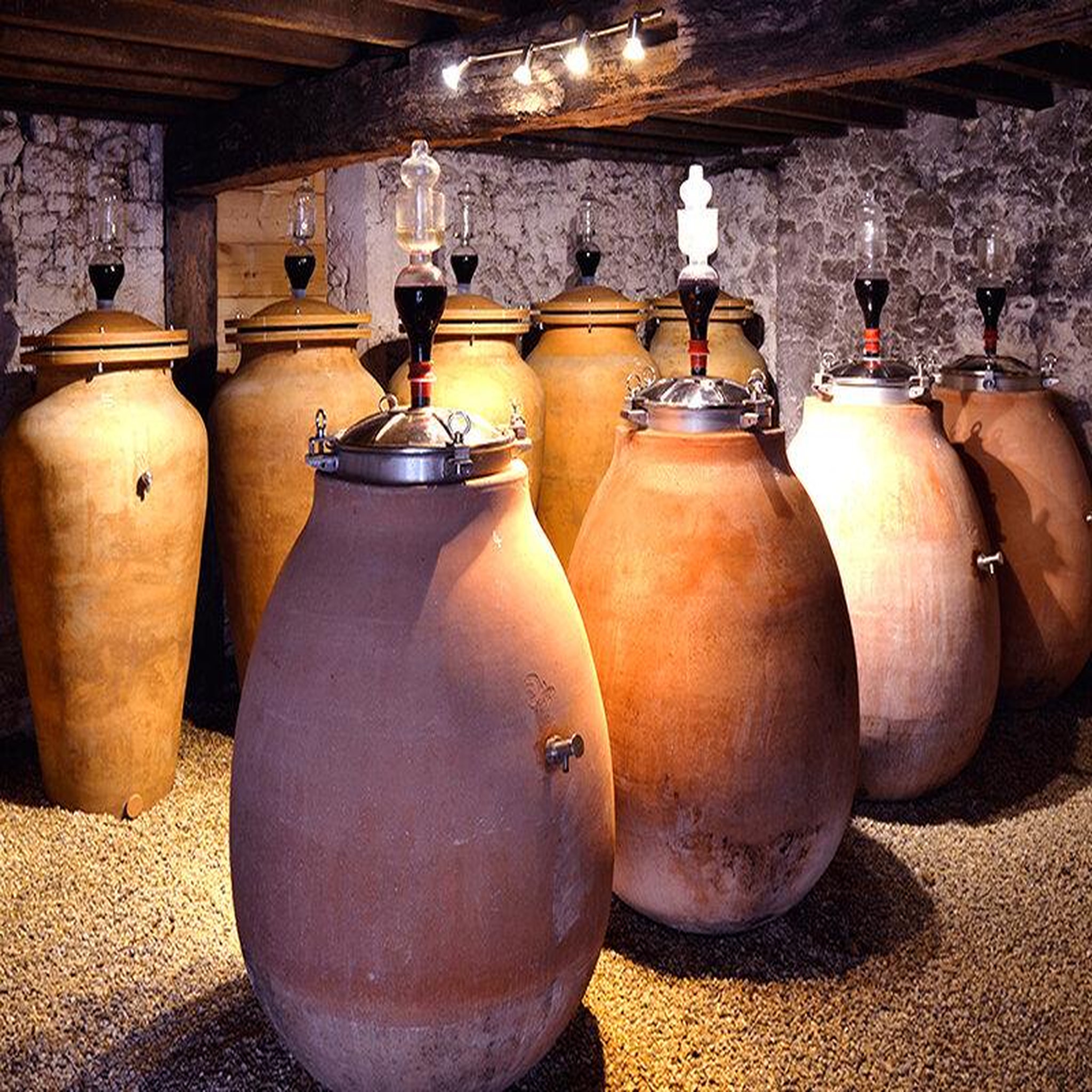 Voir la diapositive 4 : Smartbox Découverte de vignes biodynamiques avec dégustation de vins en gironde - coffret cadeau sport & aventure